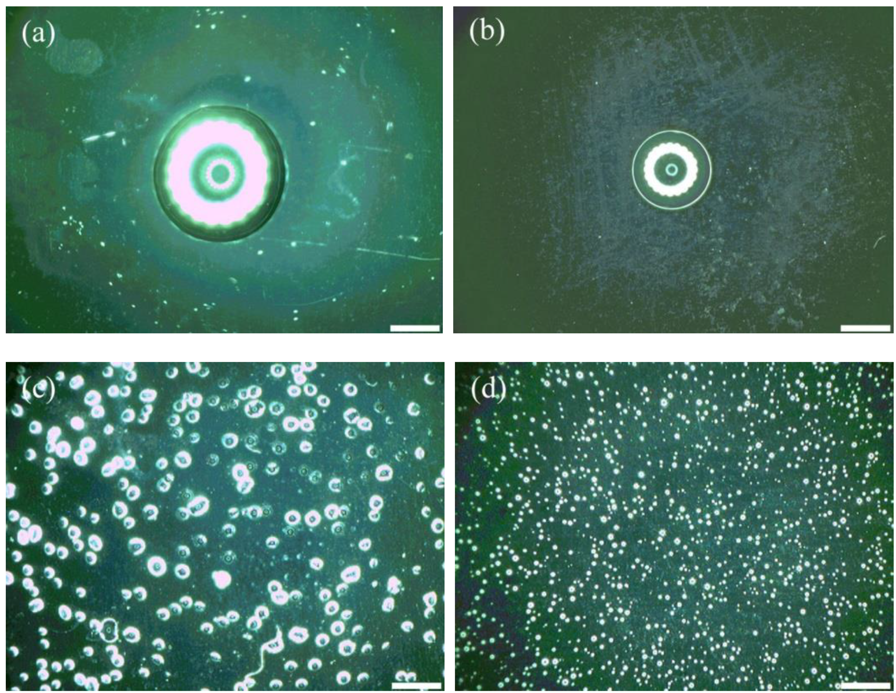 Coatings 11 01153 g004