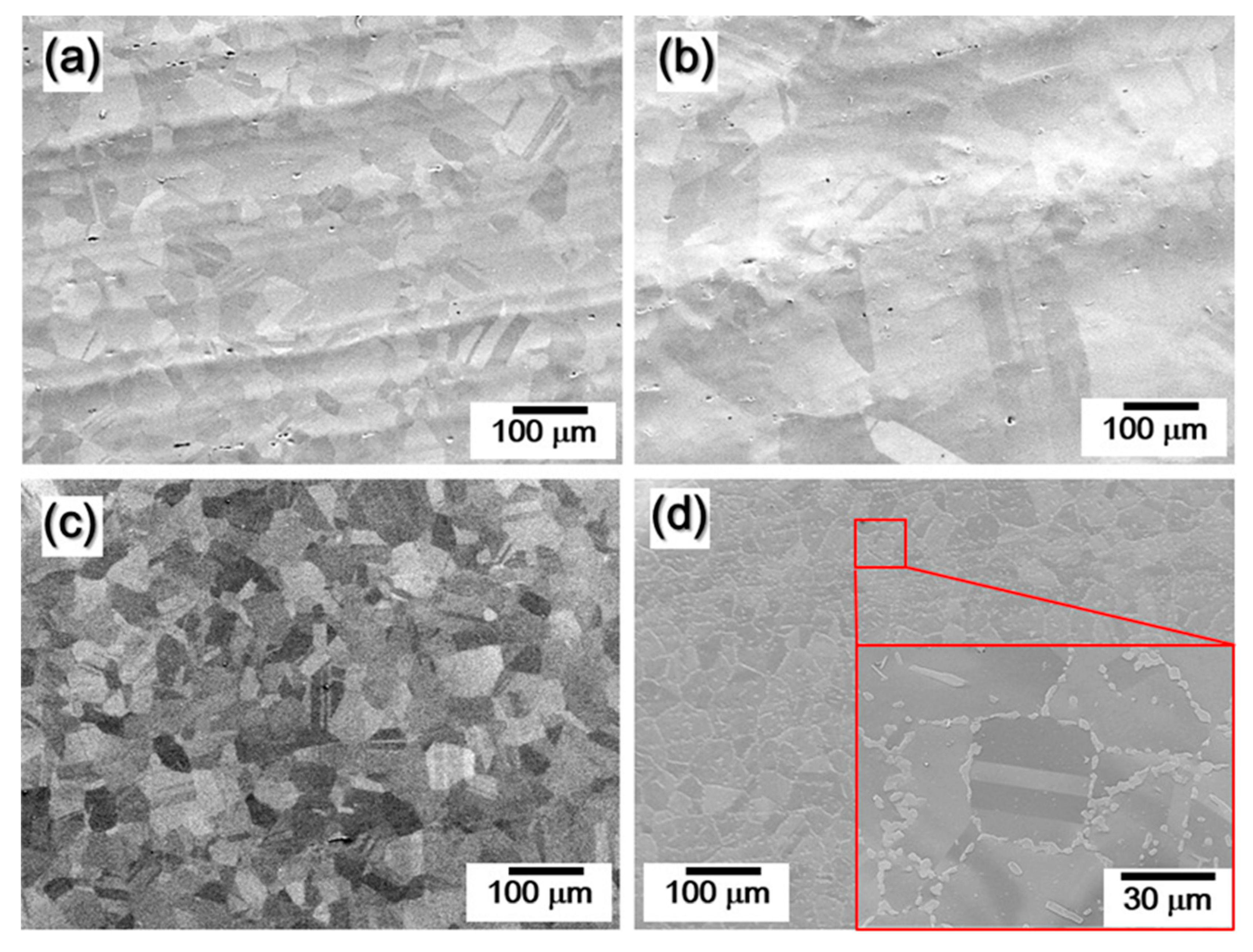 Coatings 11 01159 g002 550