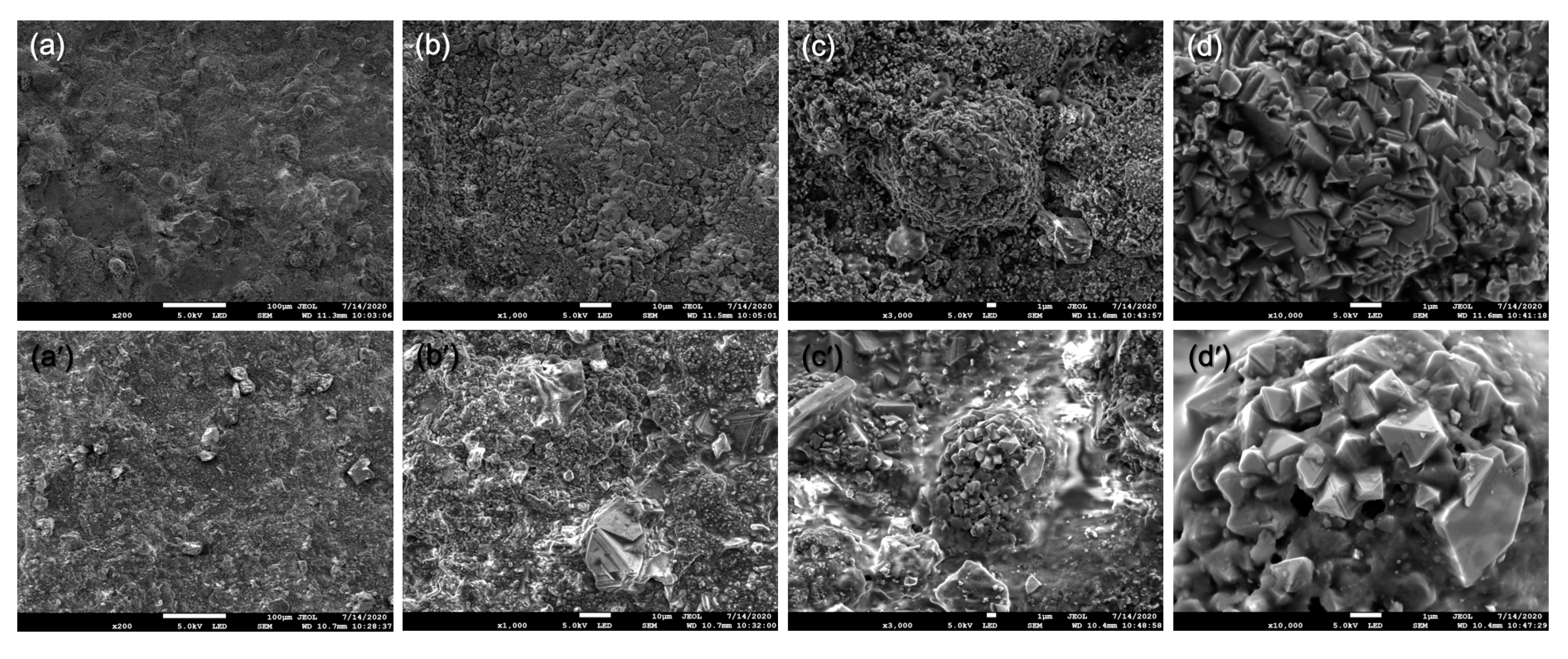 Coatings 11 01159 g008 550