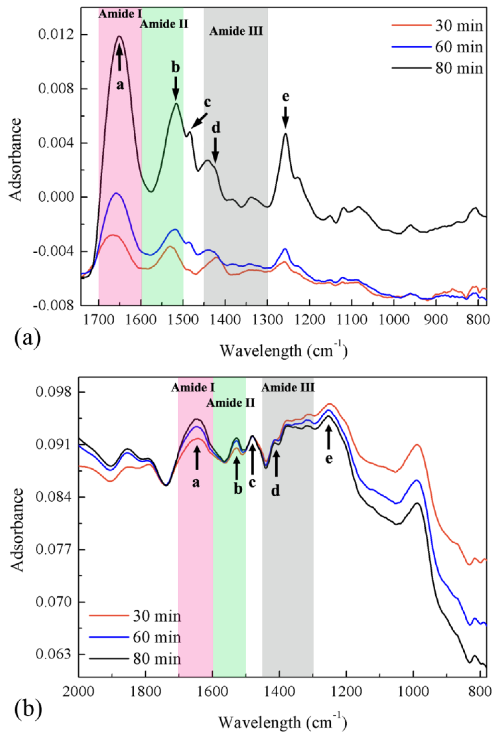 Coatings 11 01161 g005 Coatings 11 01161 g005
