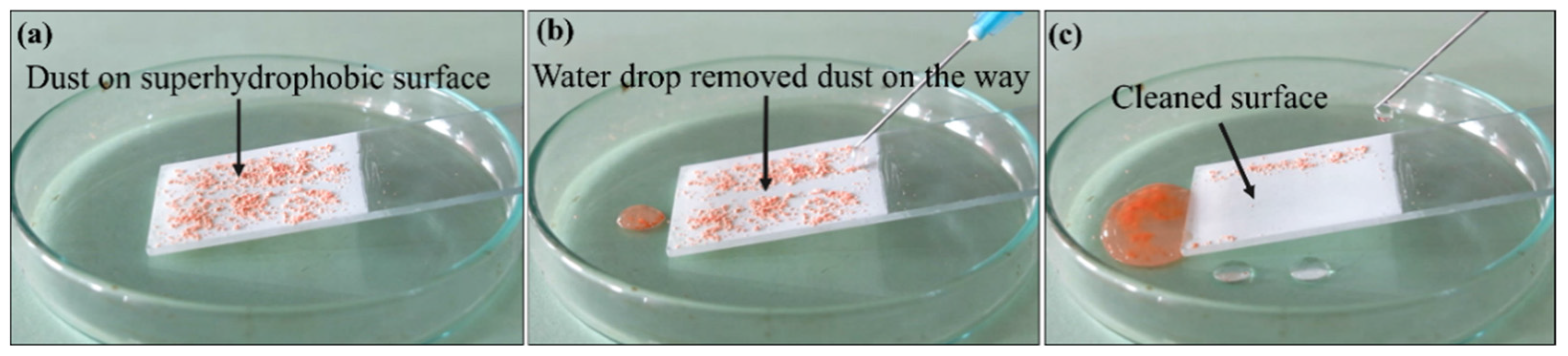 Coatings 11 01162 g005