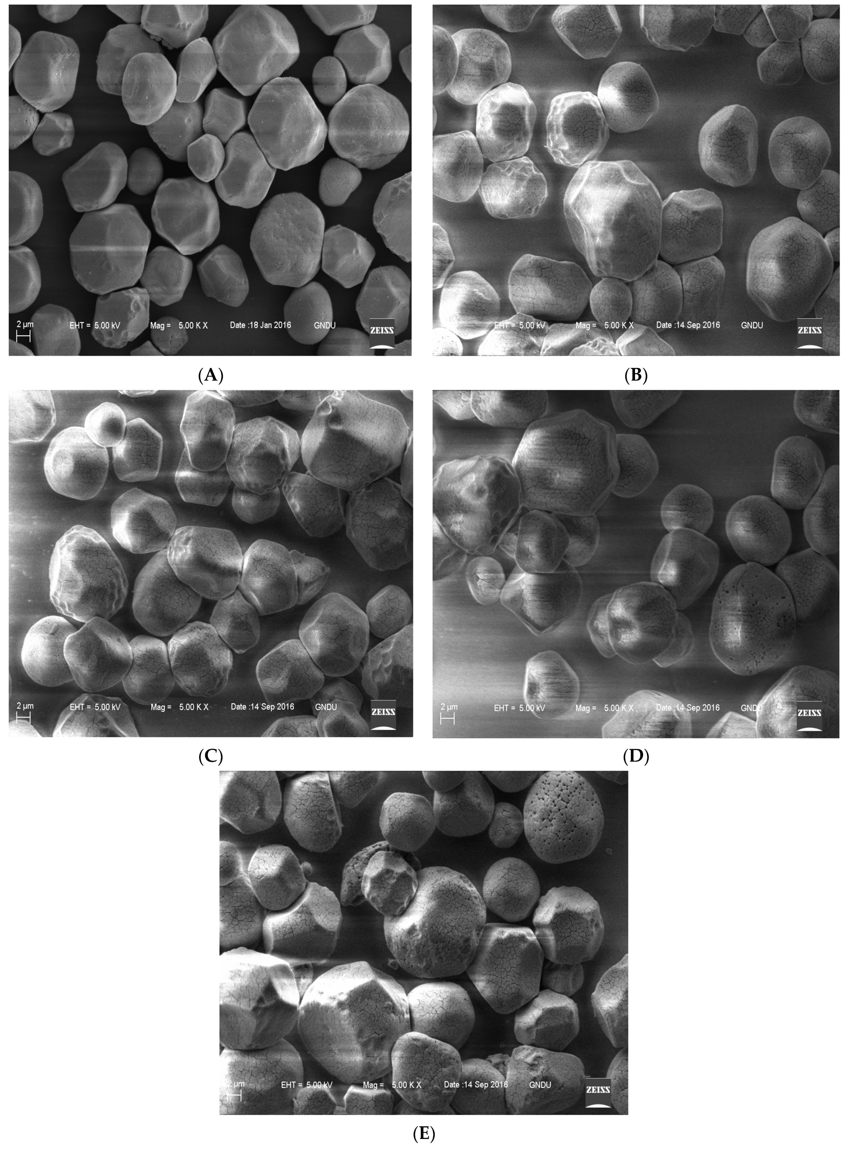 Coatings 11 01163 g003 550