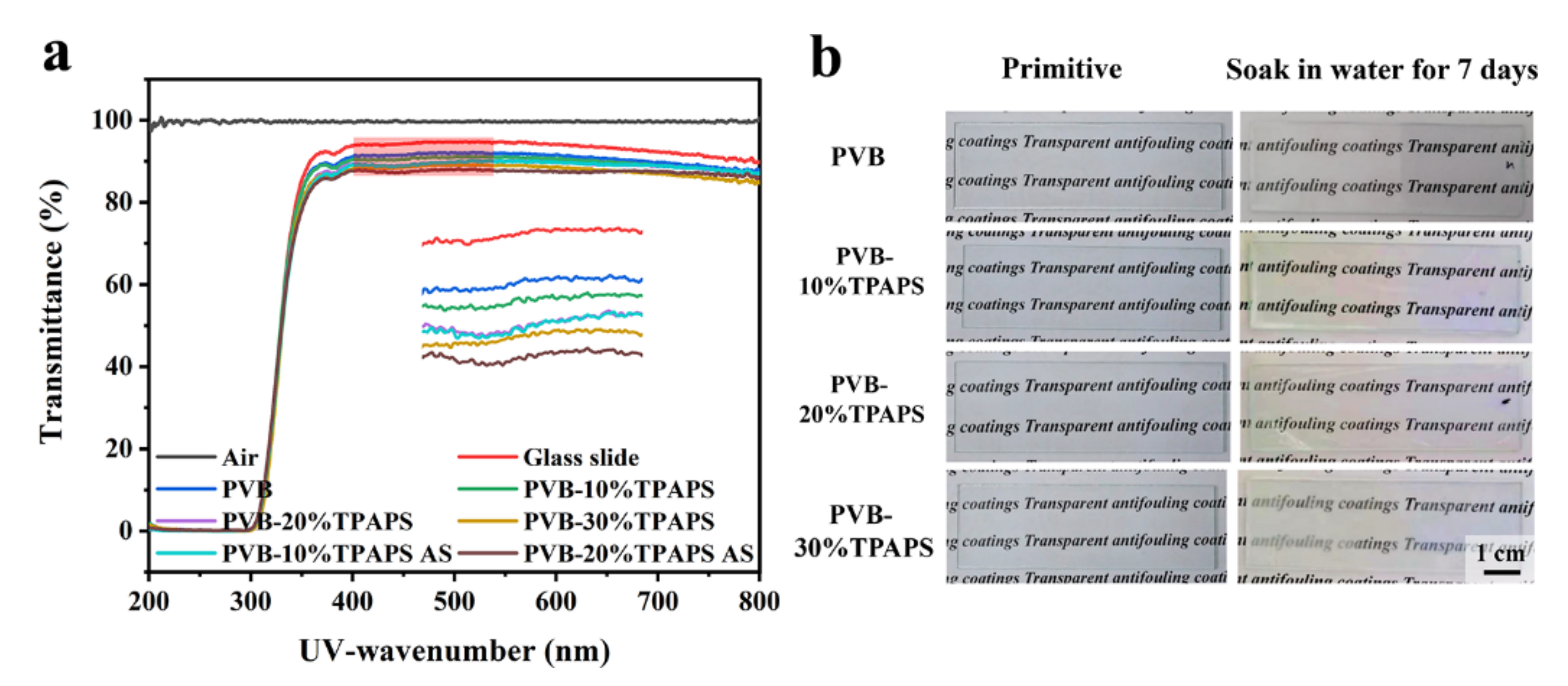 Coatings 11 01164 g006 550