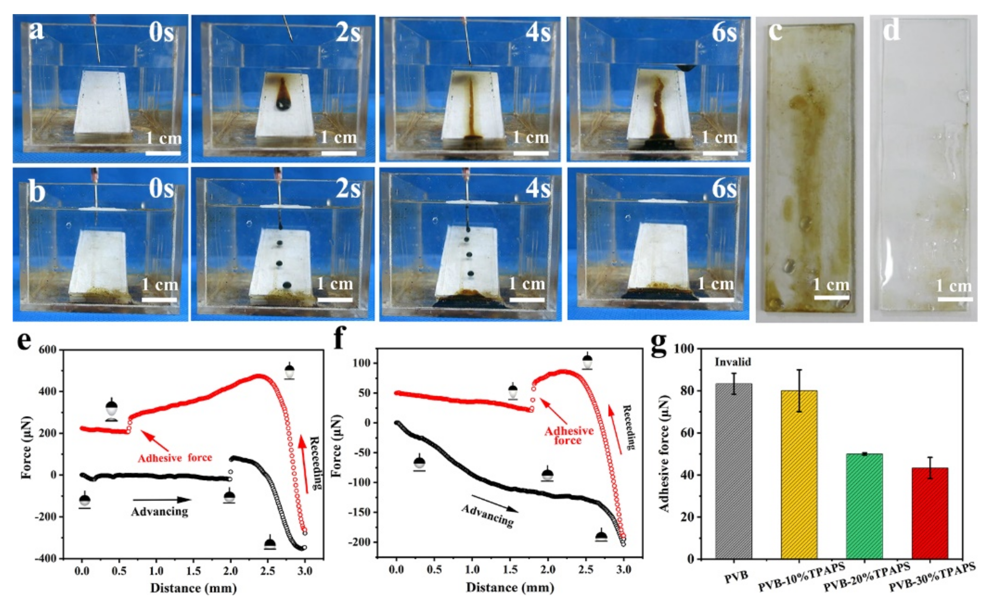 Coatings 11 01164 g007 550