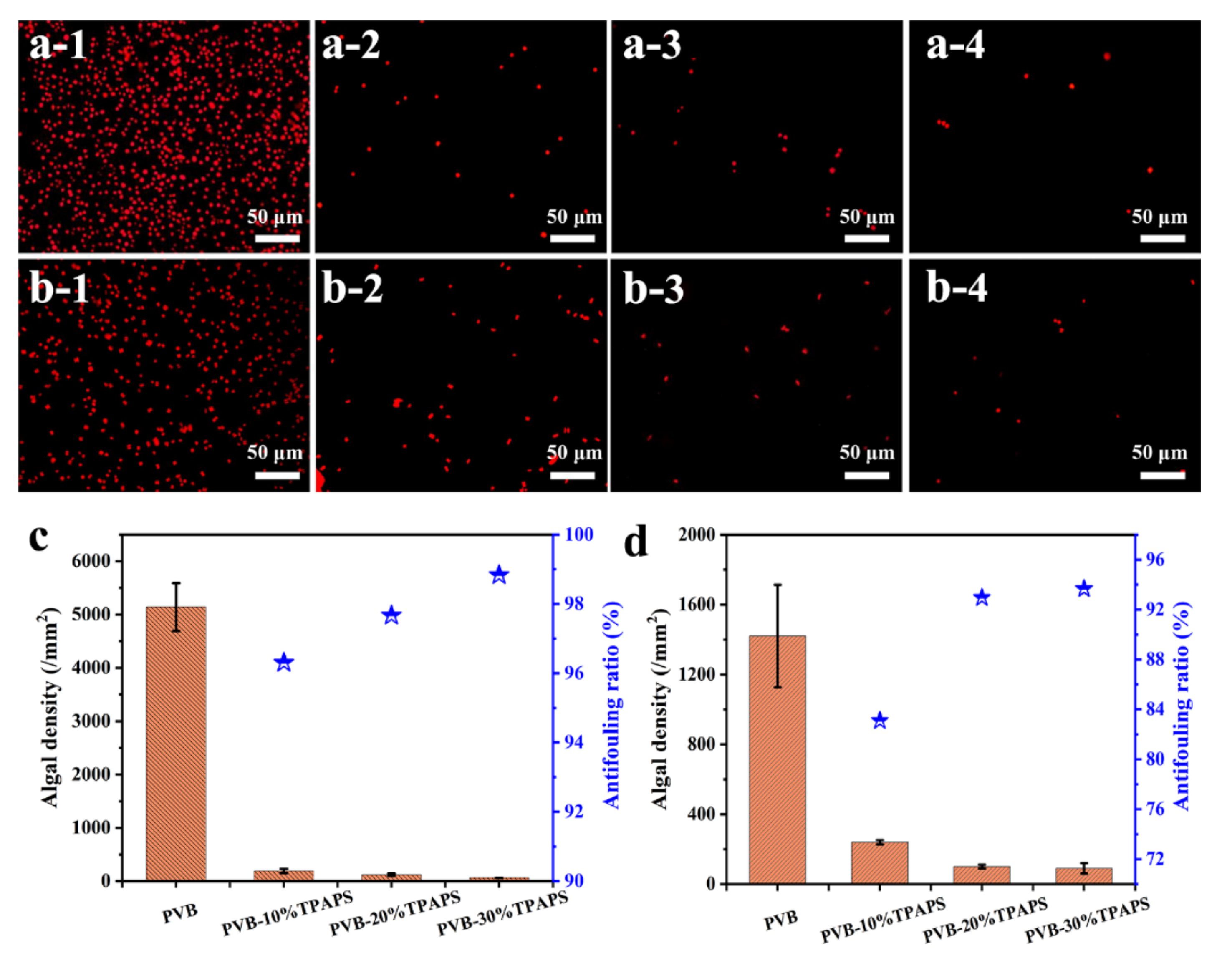 Coatings 11 01164 g009 550