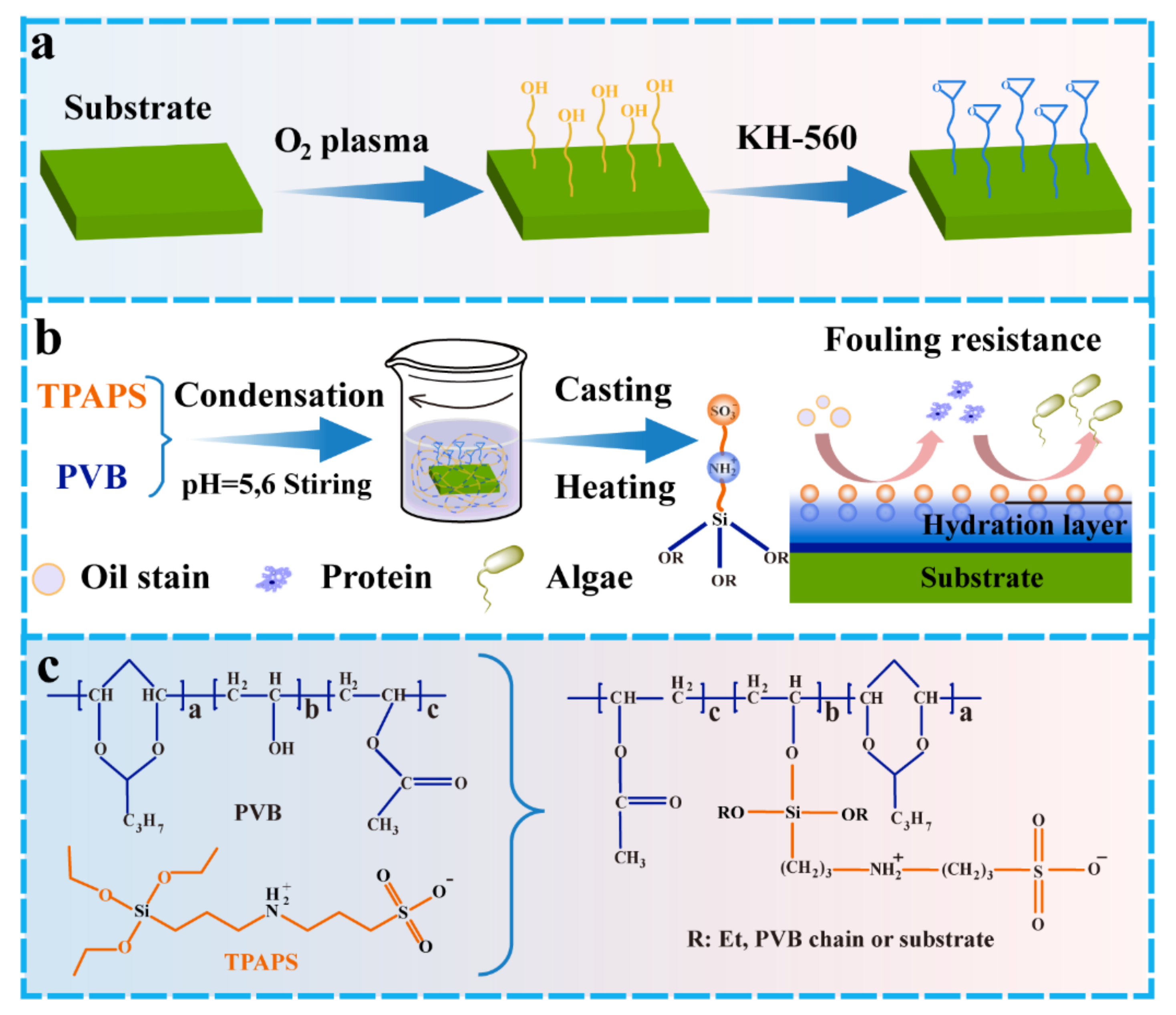Coatings 11 01164 sch001 550