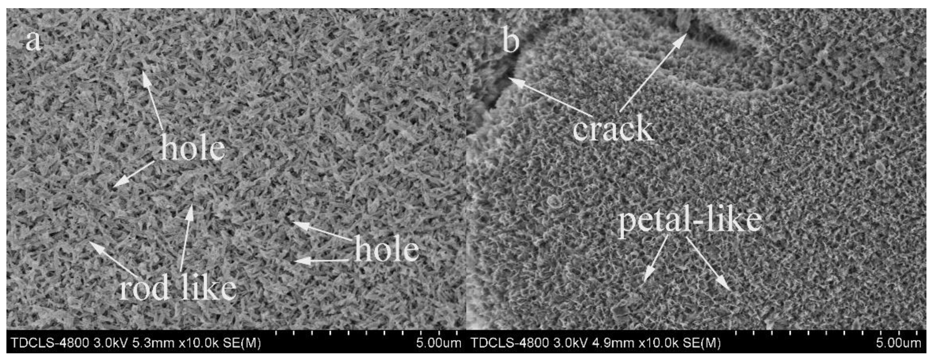 Coatings 11 01166 g007a