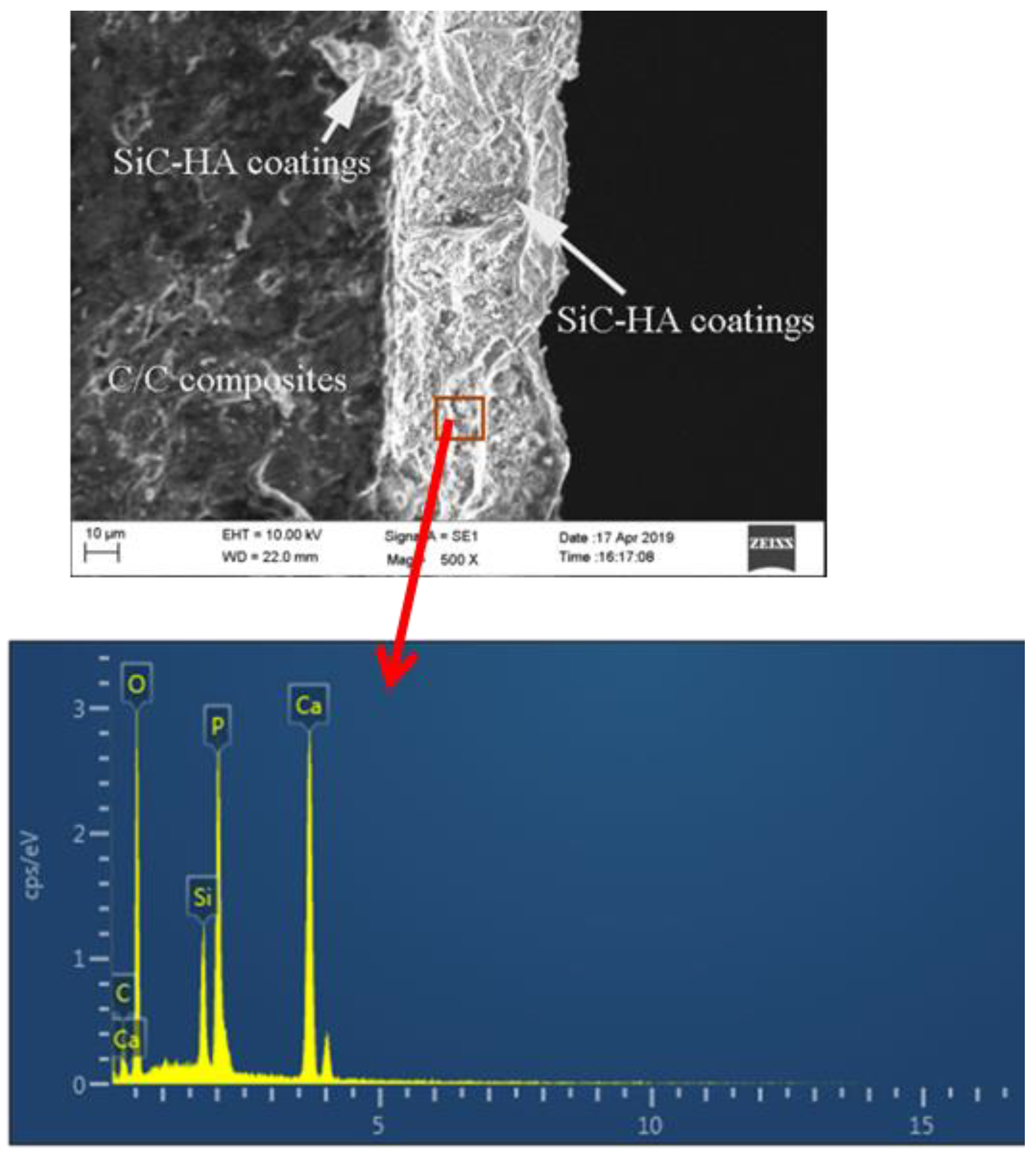 Coatings 11 01166 g008