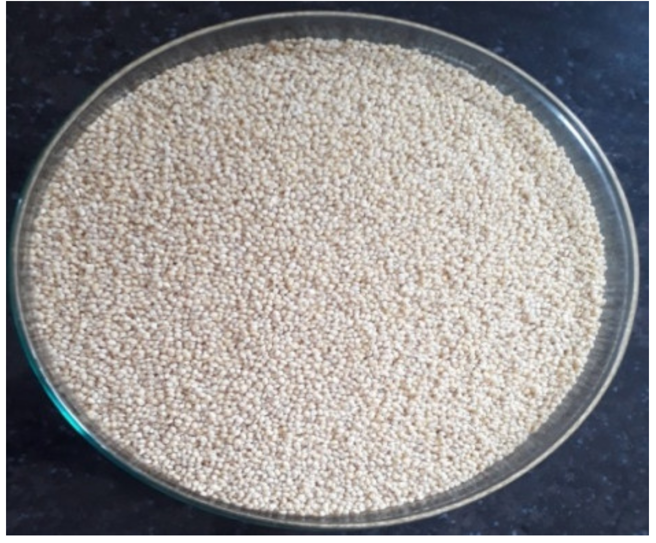 Coatings 11 01167 g001