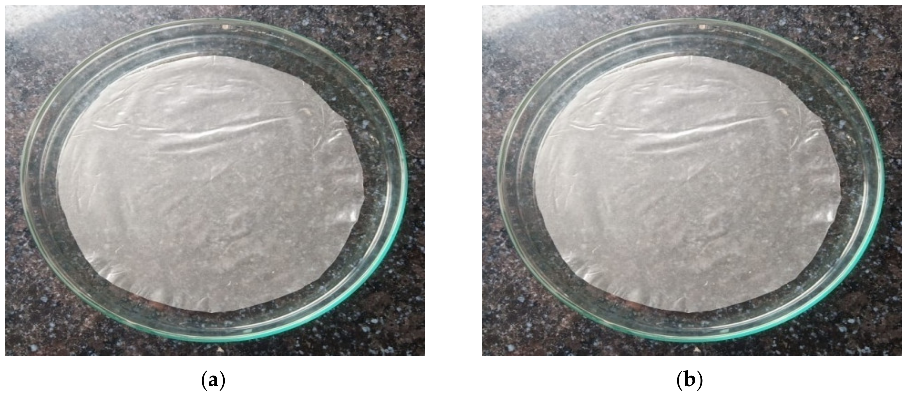 Coatings 11 01167 g003