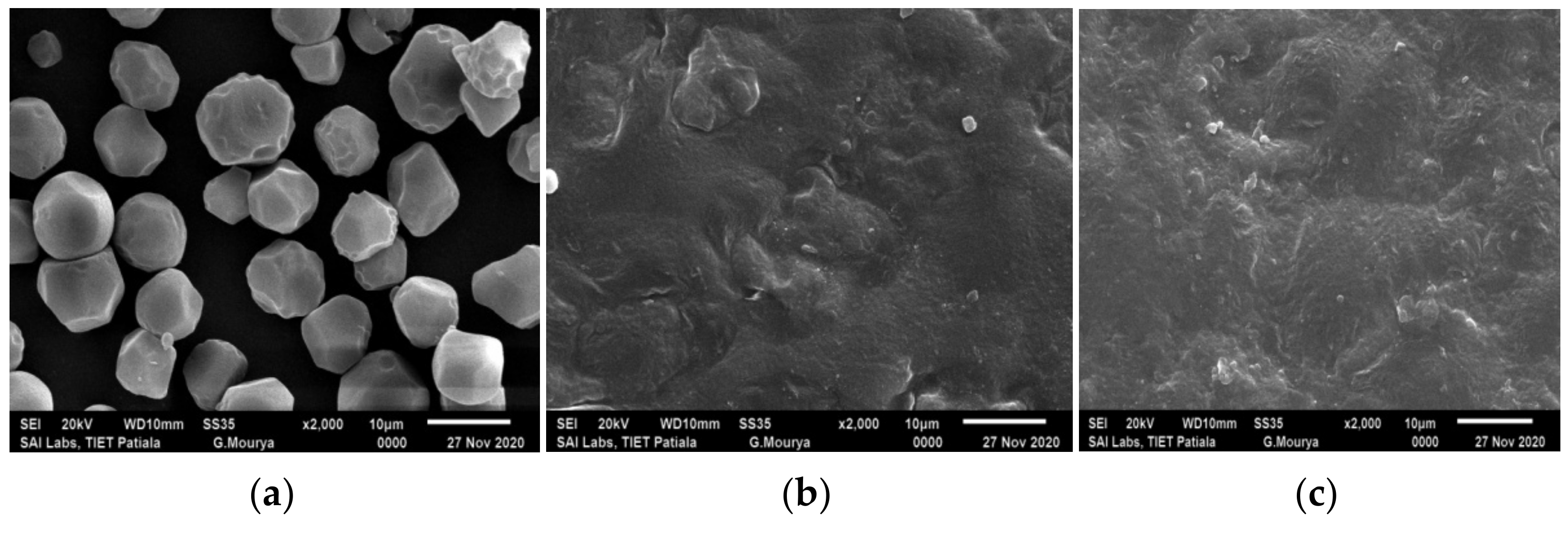 Coatings 11 01167 g005