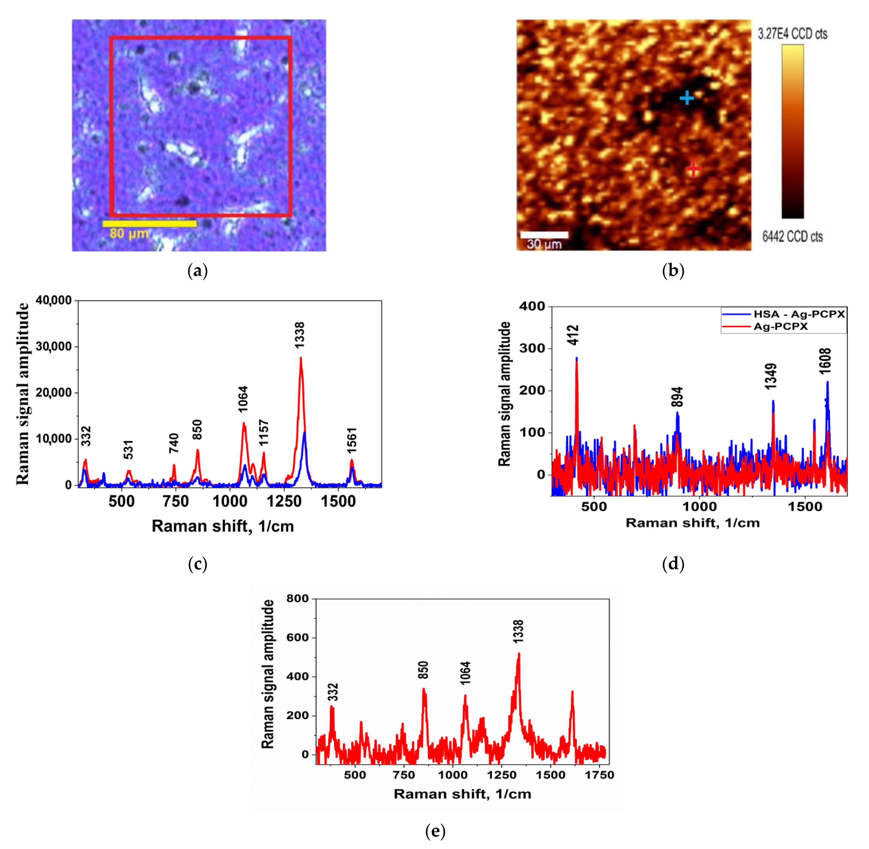 Coatings 11 01171 g002 550