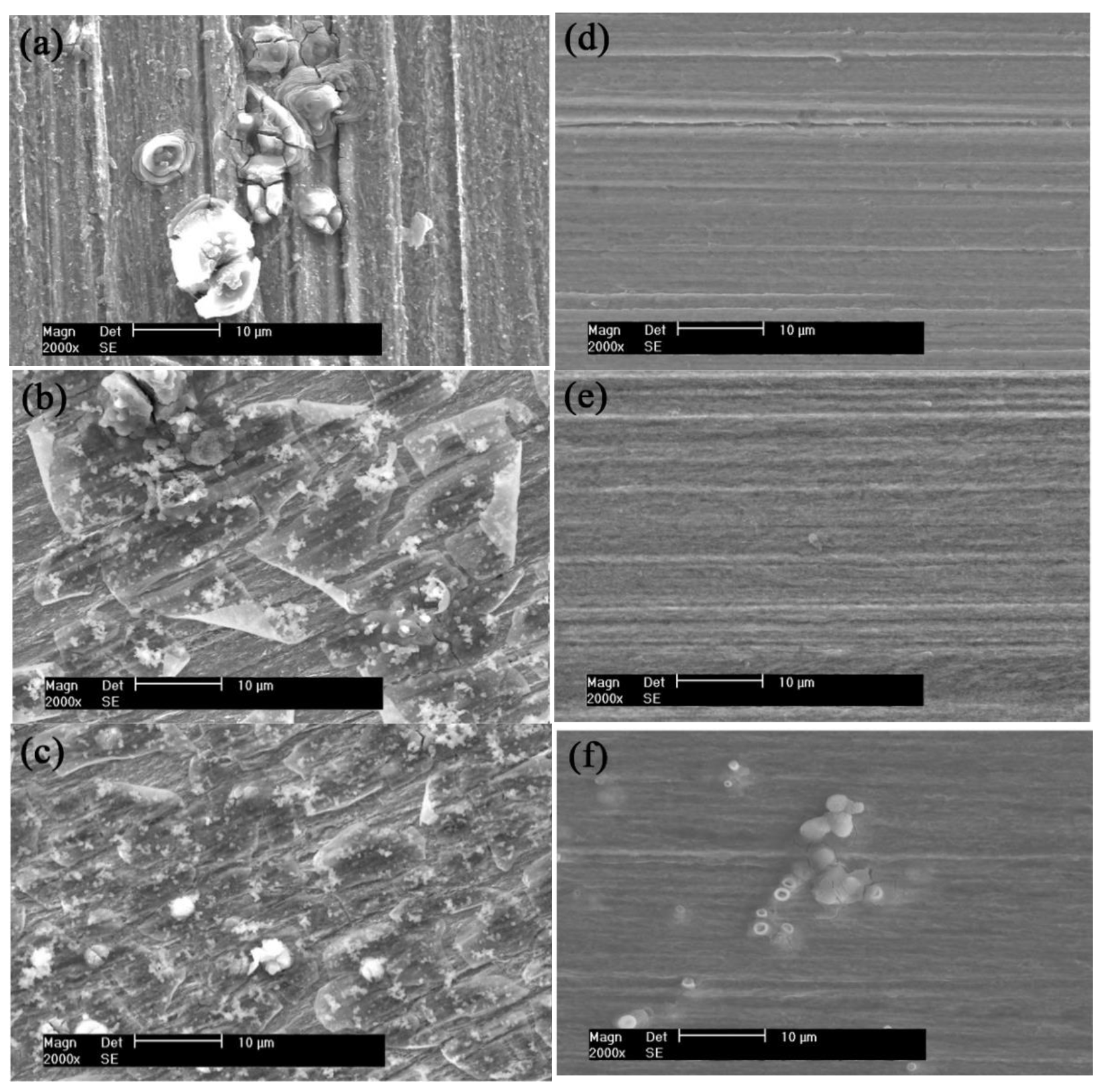 Coatings 11 01176 g001 550
