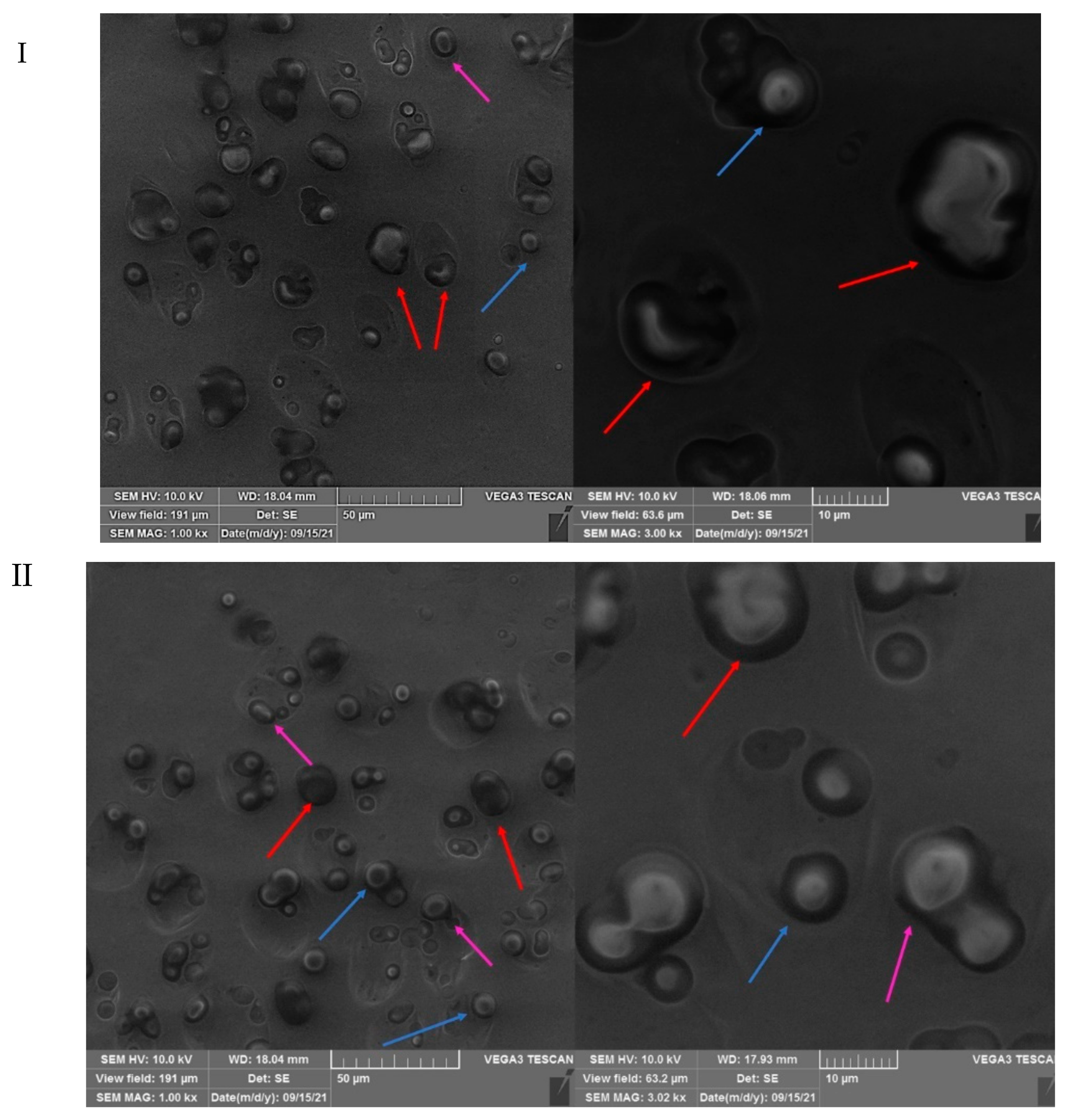 Coatings 11 01179 g008a