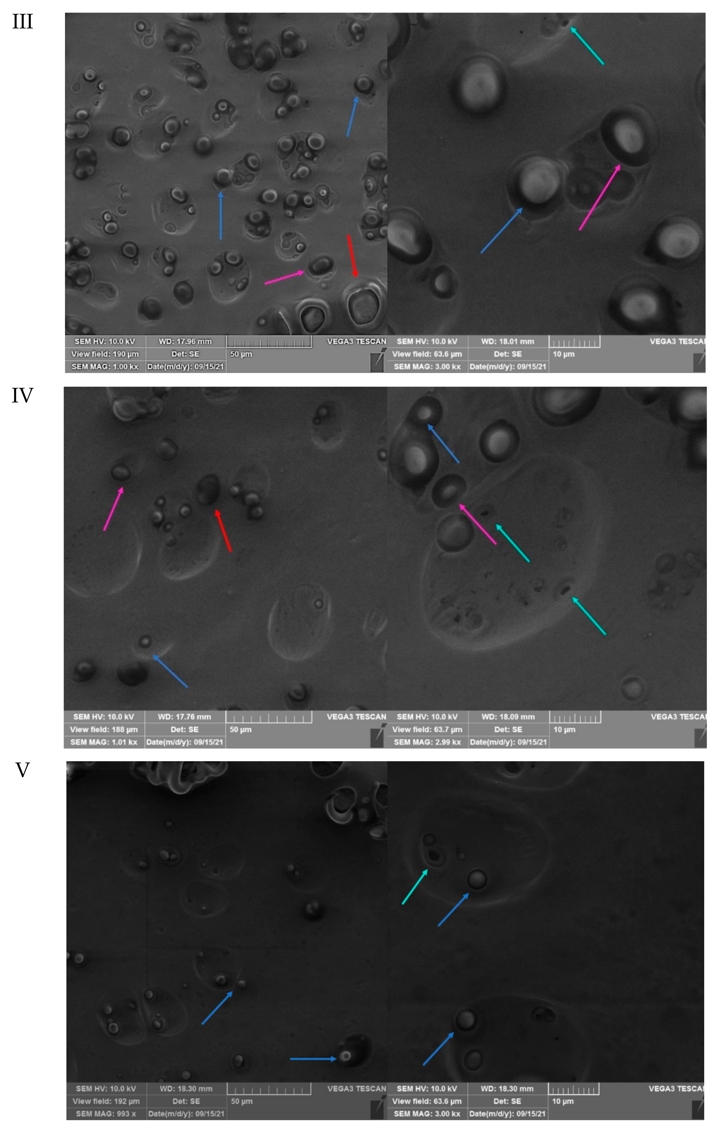 Coatings 11 01179 g008b