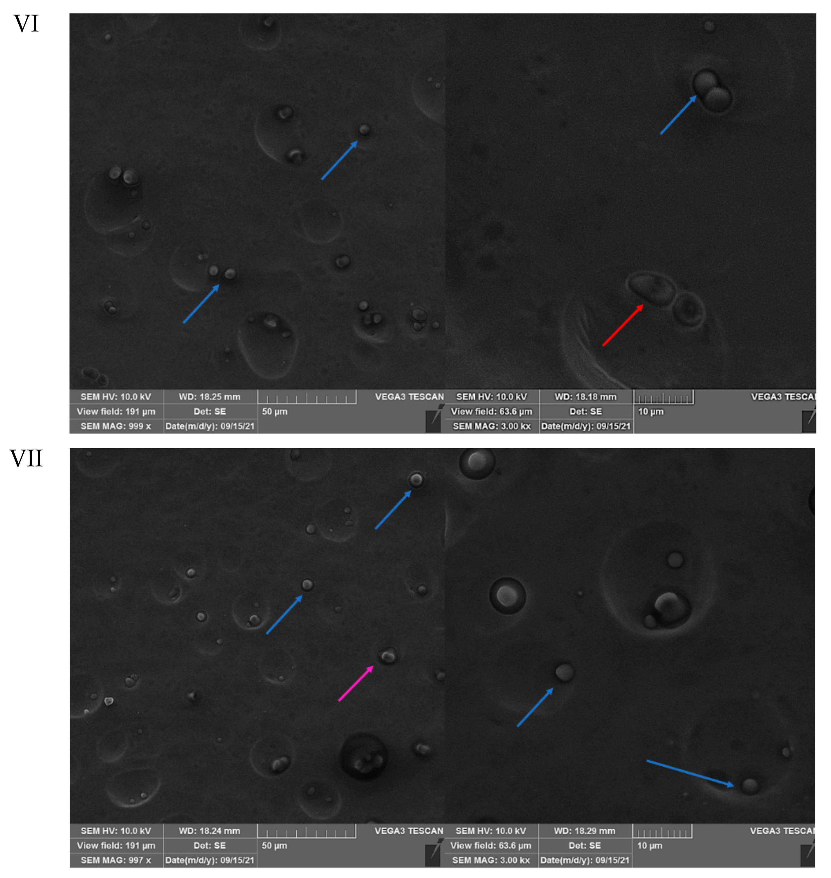 Coatings 11 01179 g008c