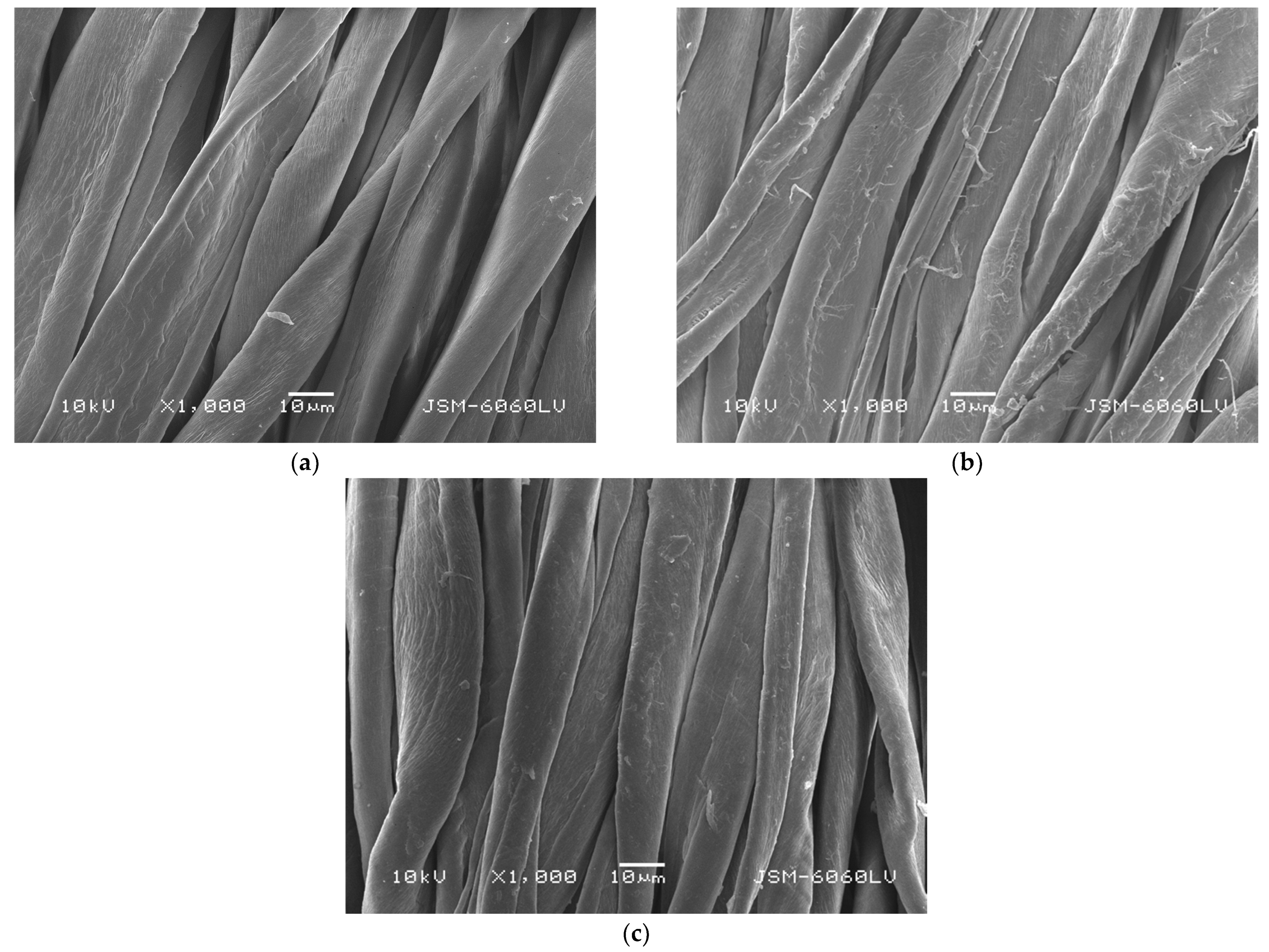 Coatings 11 01181 g002