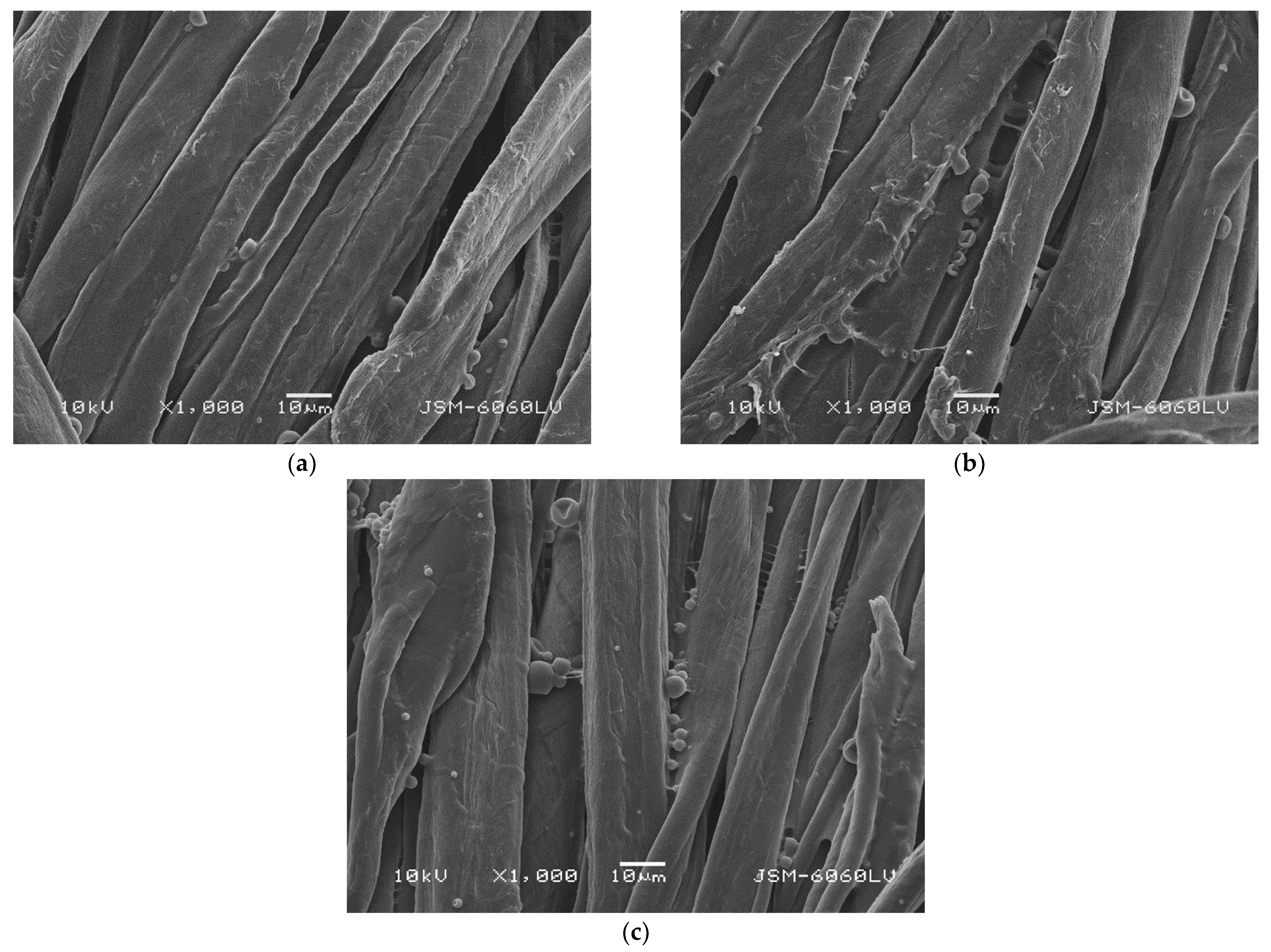 Coatings 11 01181 g006