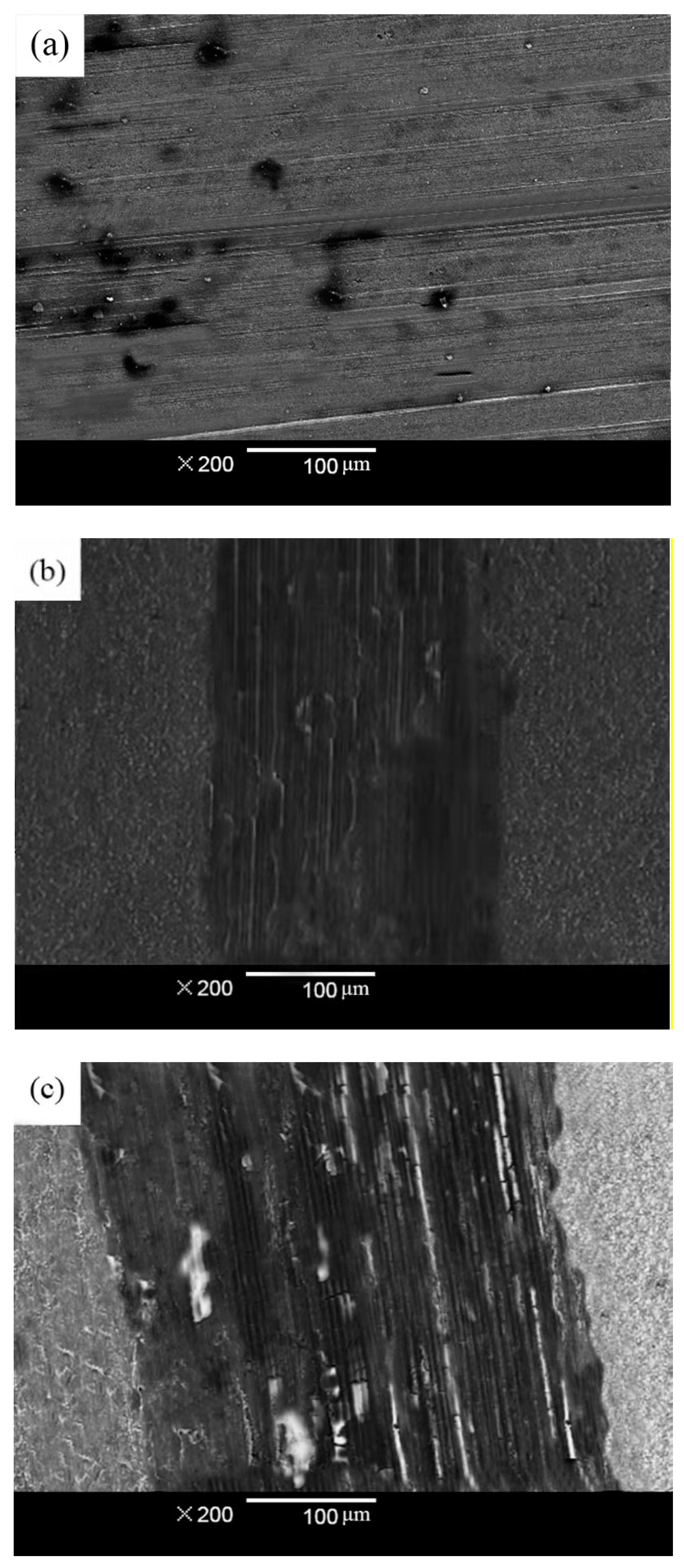 Coatings 11 01182 g014 550