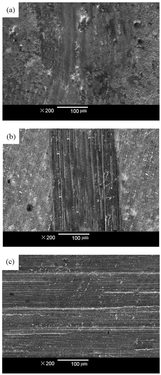 Coatings 11 01182 g015 550