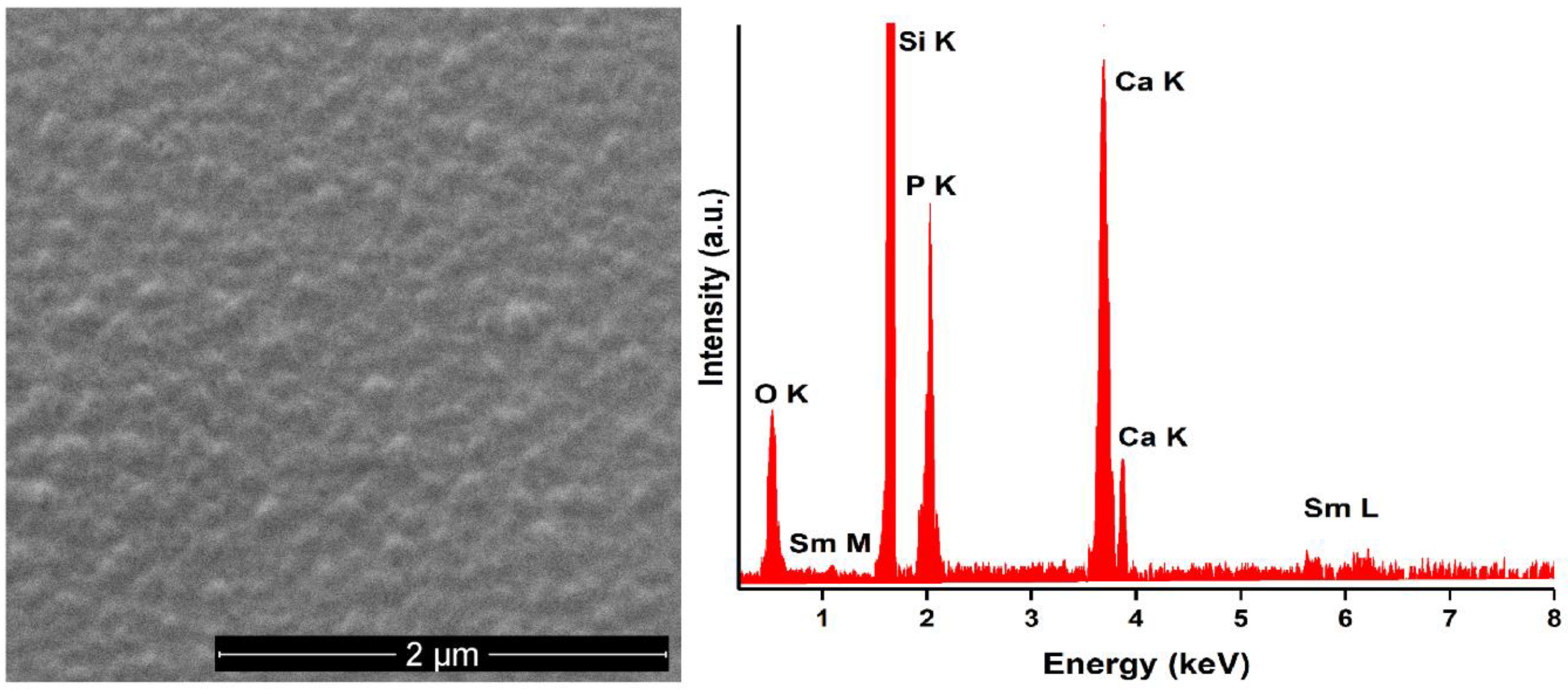 Coatings 11 01185 g003