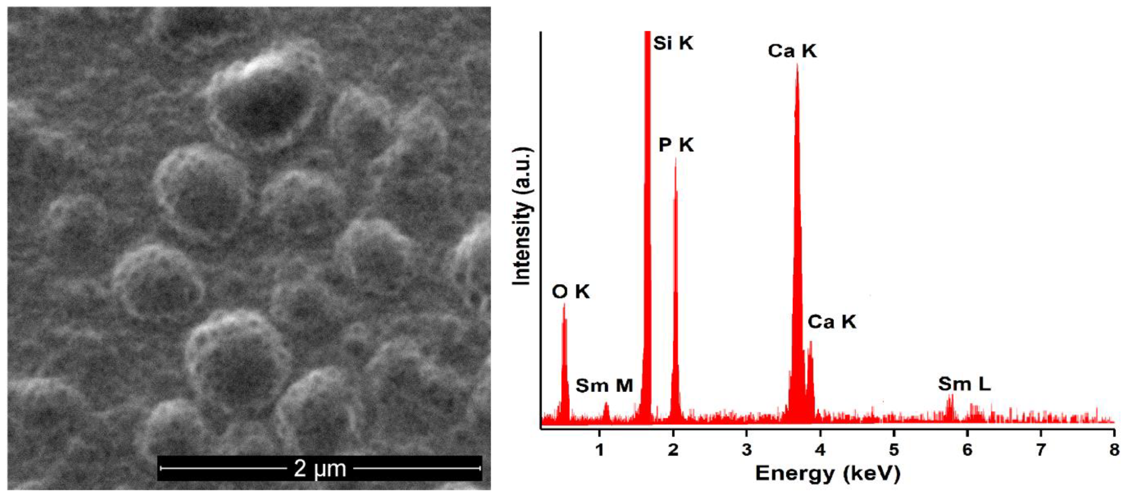 Coatings 11 01185 g004