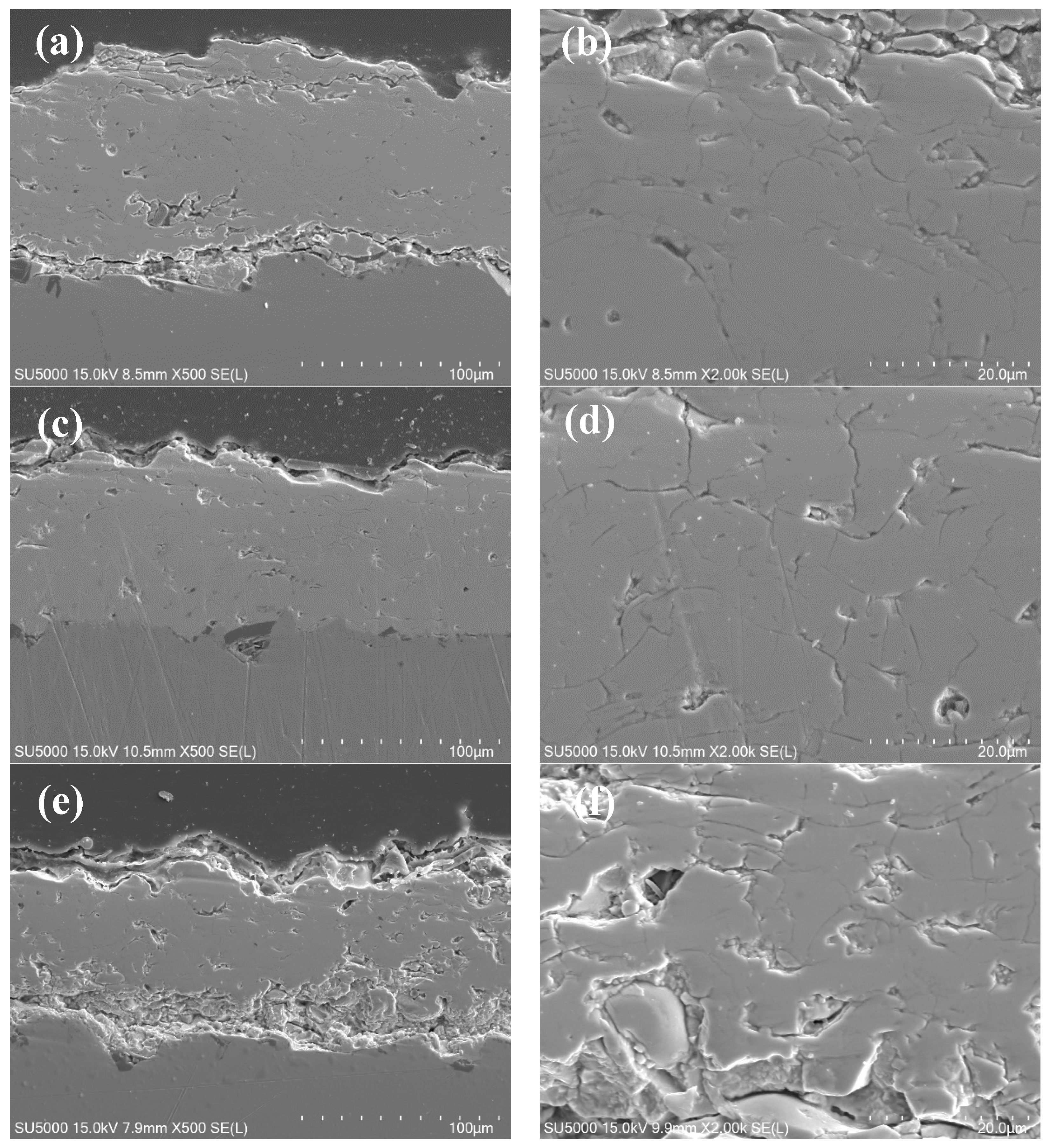 Coatings 11 01186 g003 550