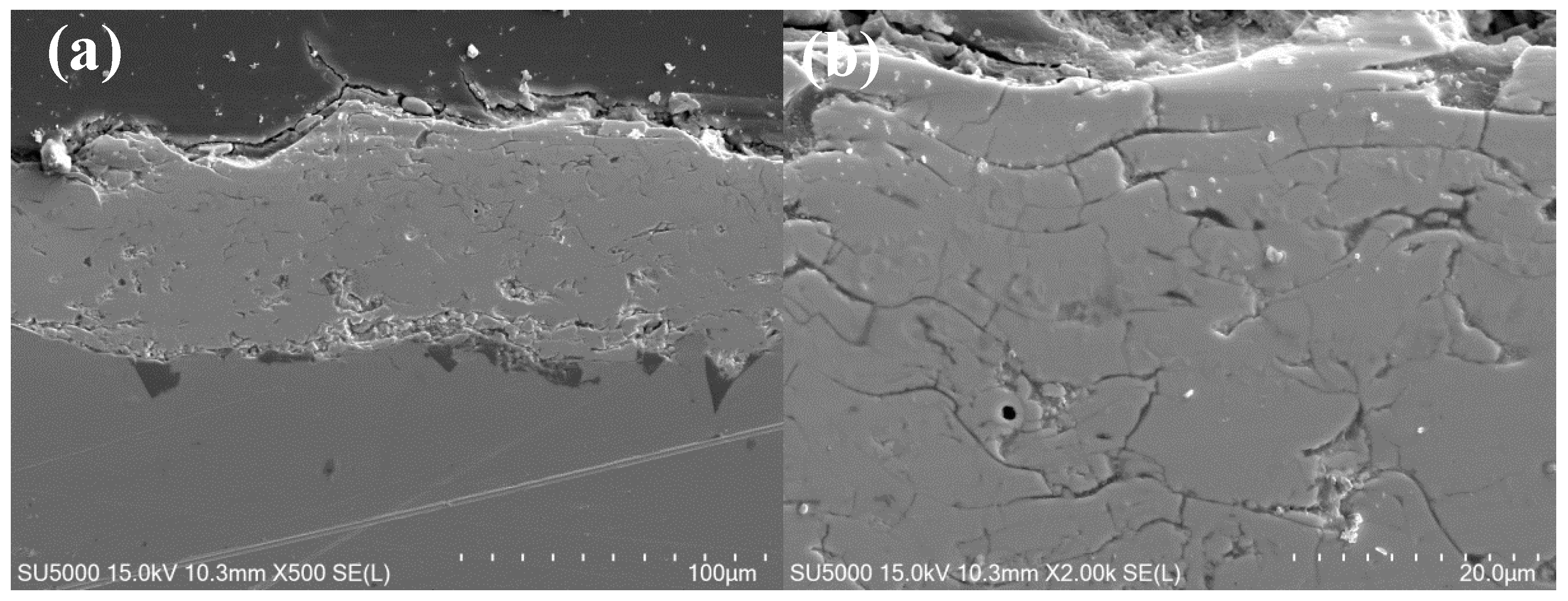Coatings 11 01186 g005a 550
