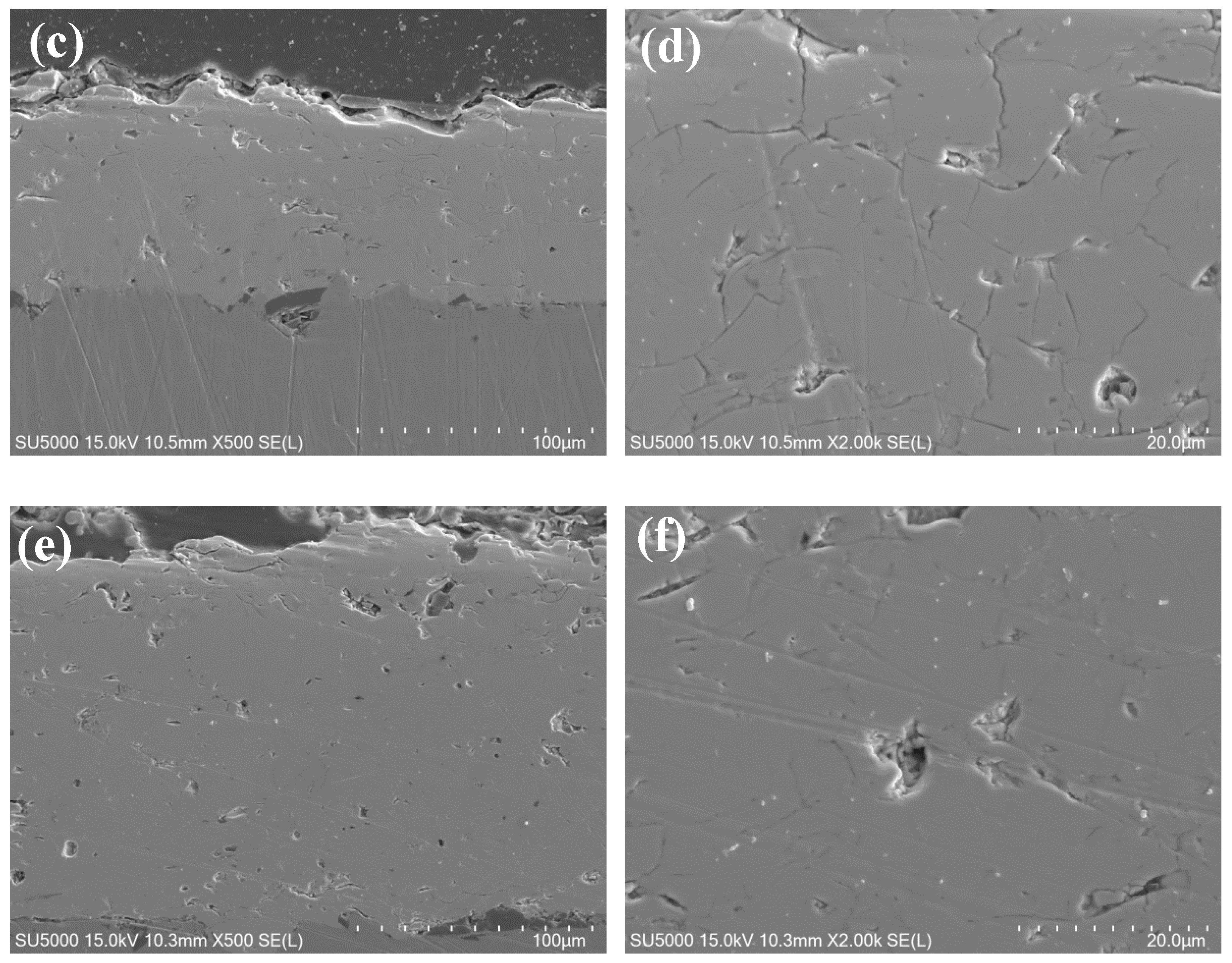 Coatings 11 01186 g005b 550