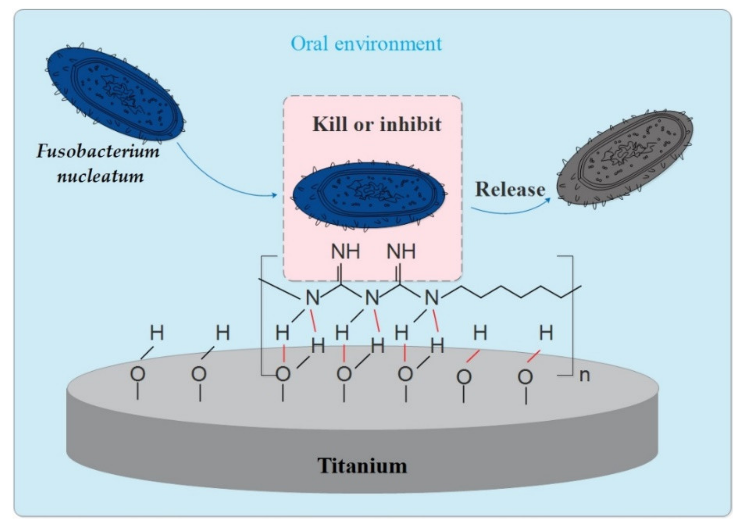 Coatings 11 01190 g006