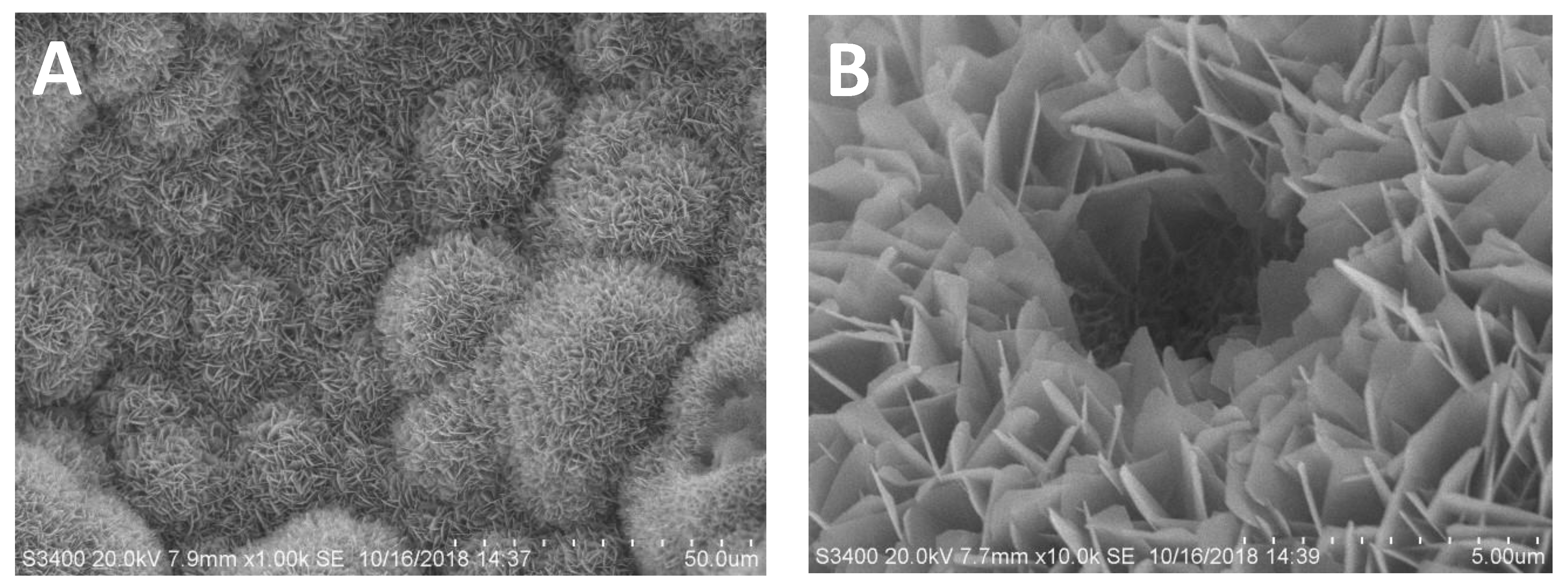 Coatings 11 01195 g001 550