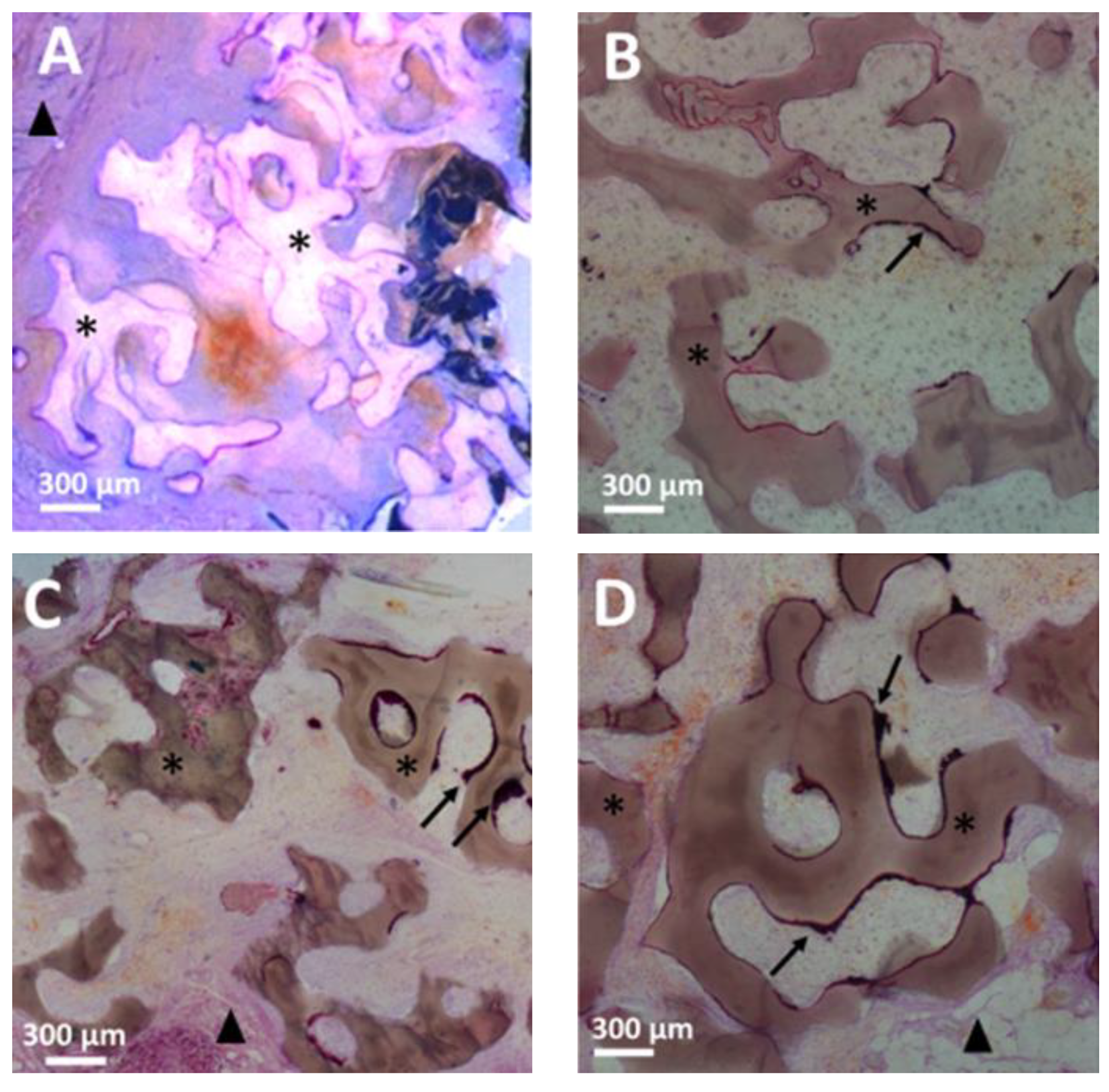 Coatings 11 01195 g002a 550