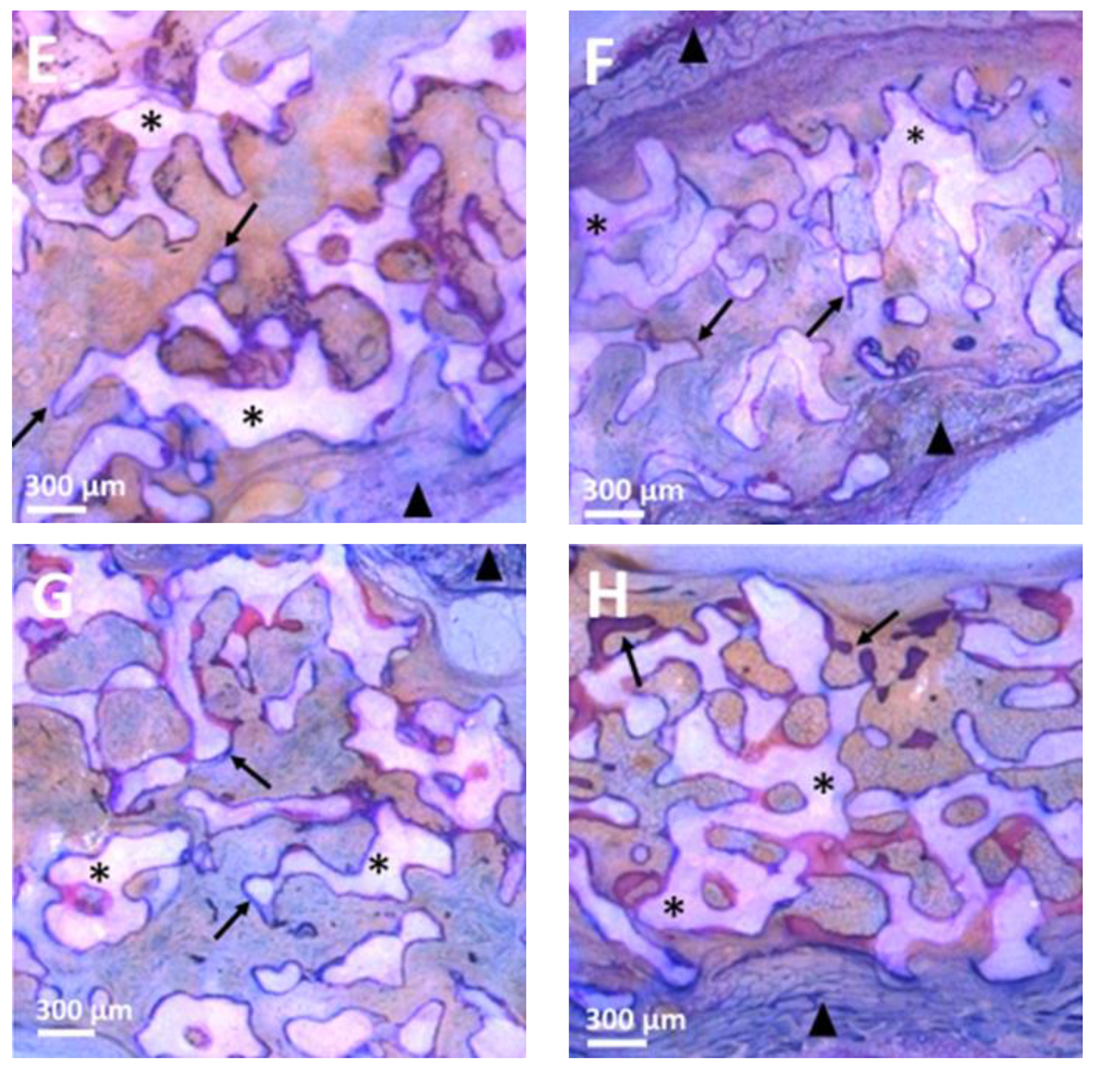 Coatings 11 01195 g002b 550