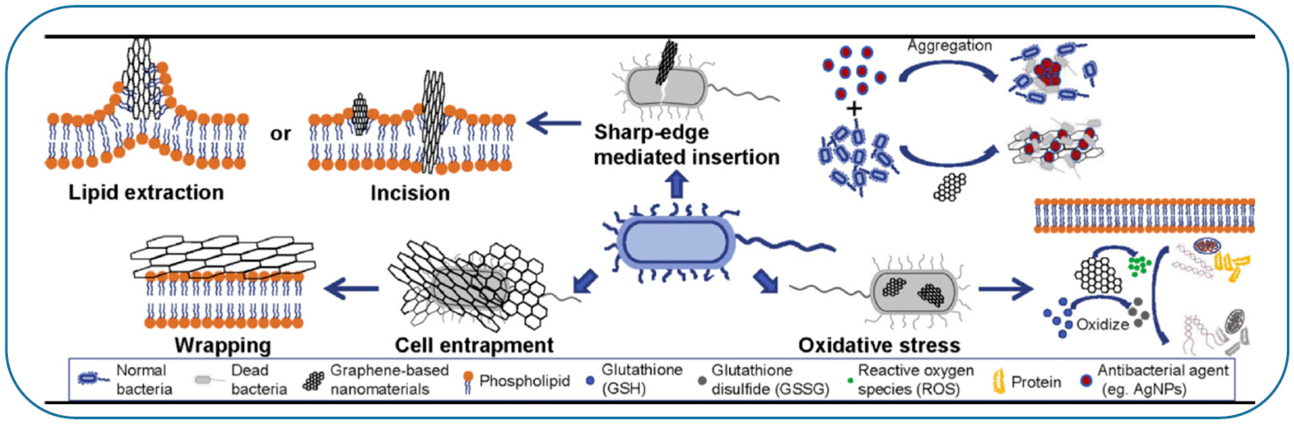 Coatings 11 01197 g005 Coatings 11 01197 g005