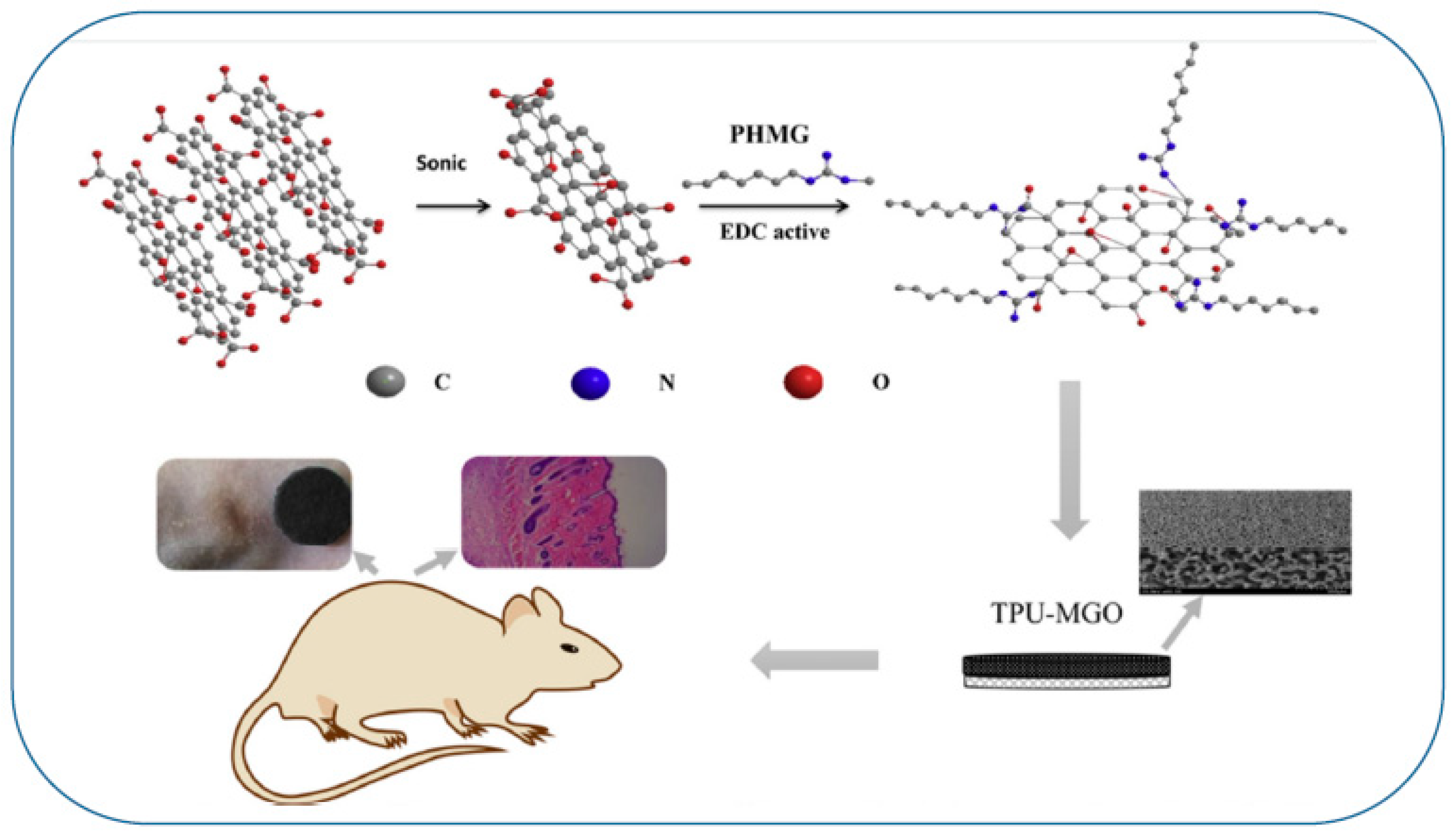 Coatings 11 01197 g006 Coatings 11 01197 g006