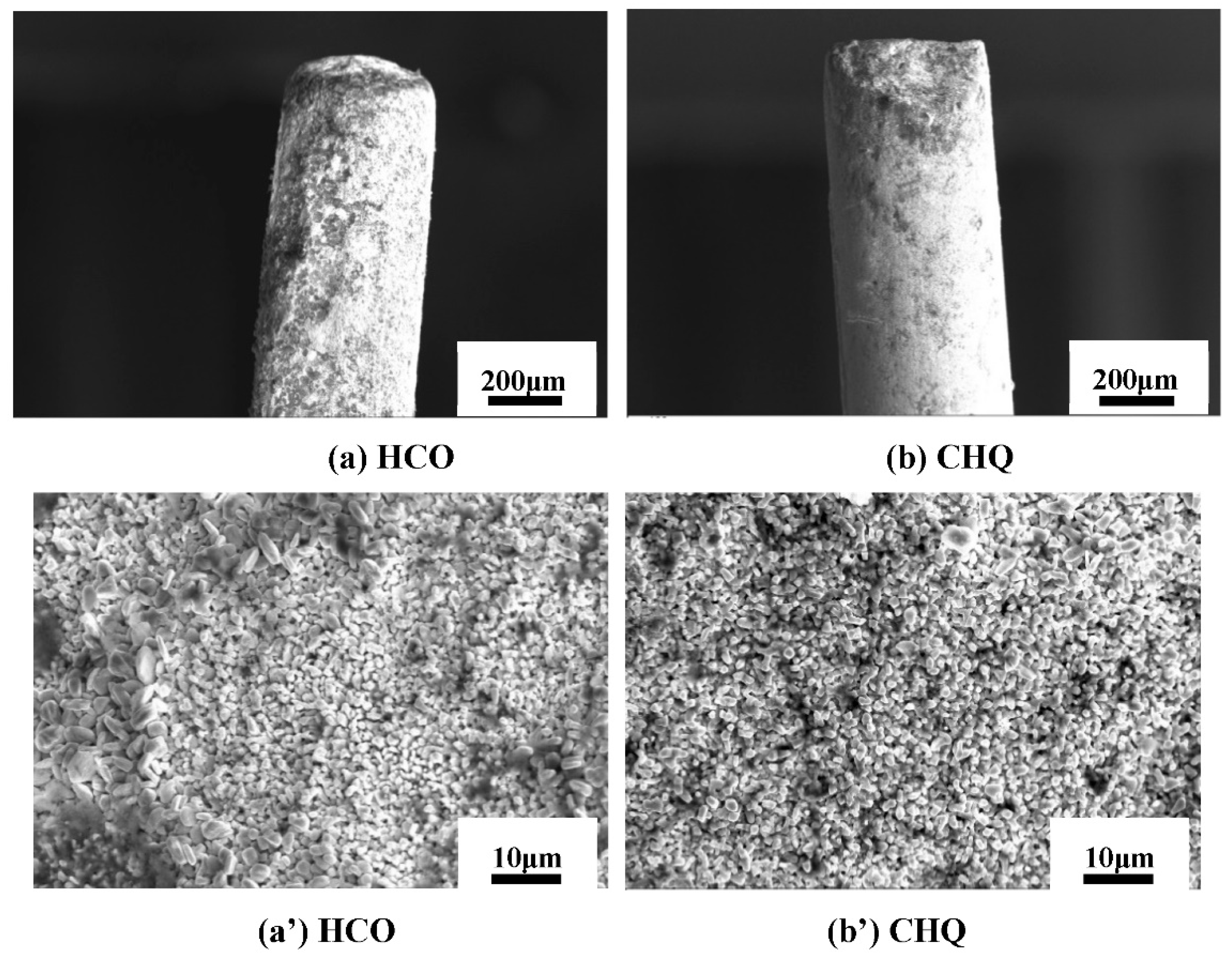 Coatings 11 01202 g004