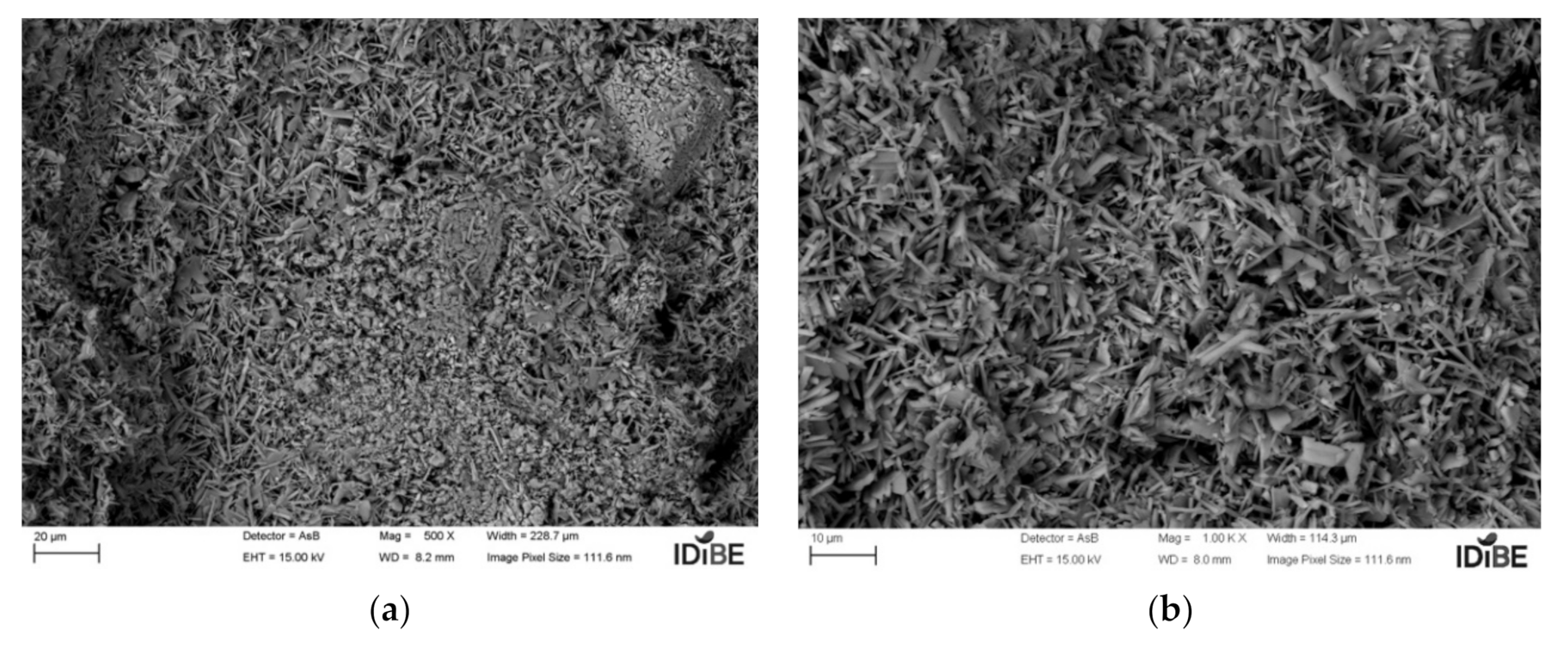 Coatings 11 01204 g002