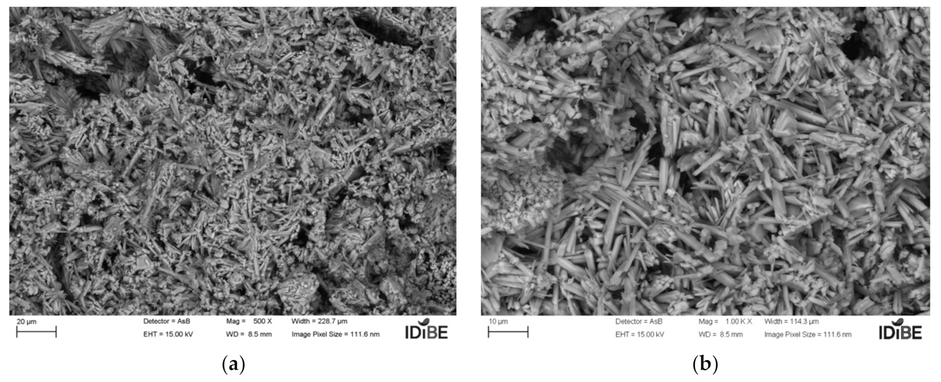 Coatings 11 01204 g003