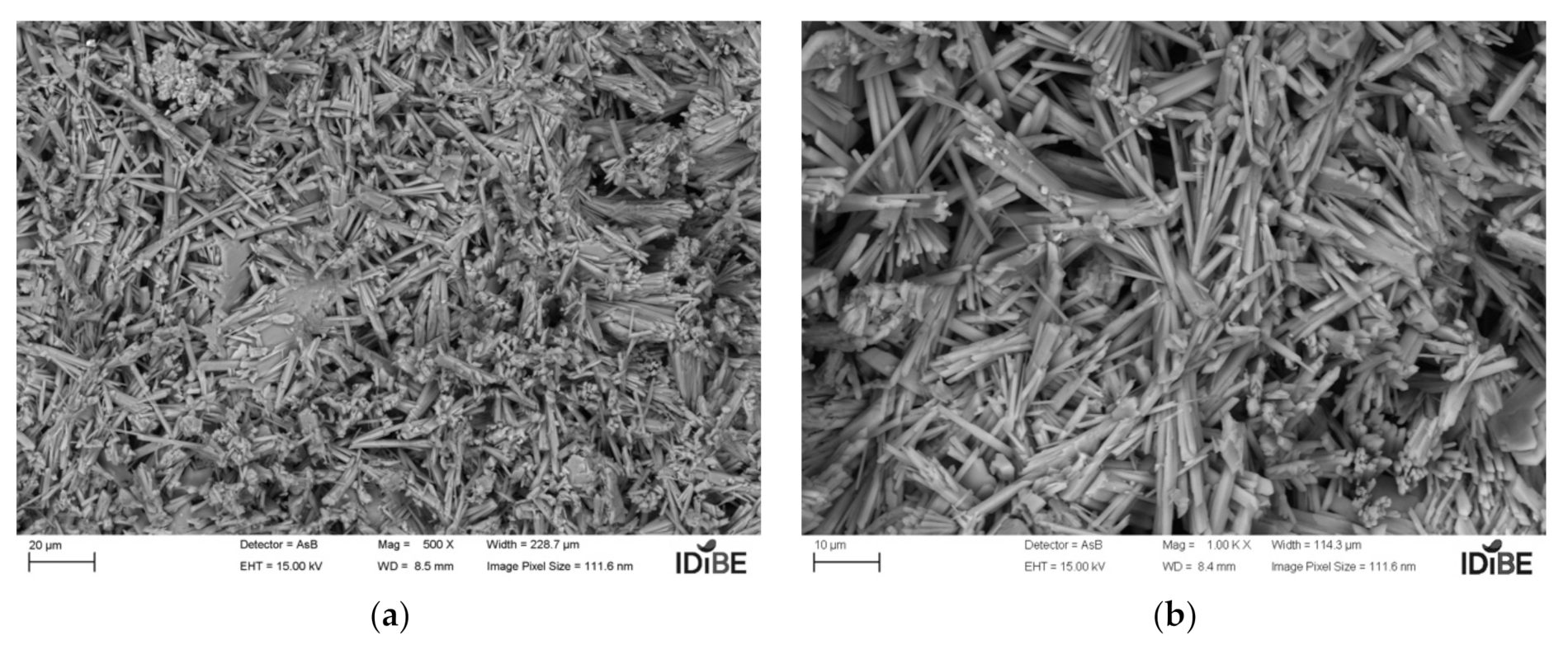 Coatings 11 01204 g004
