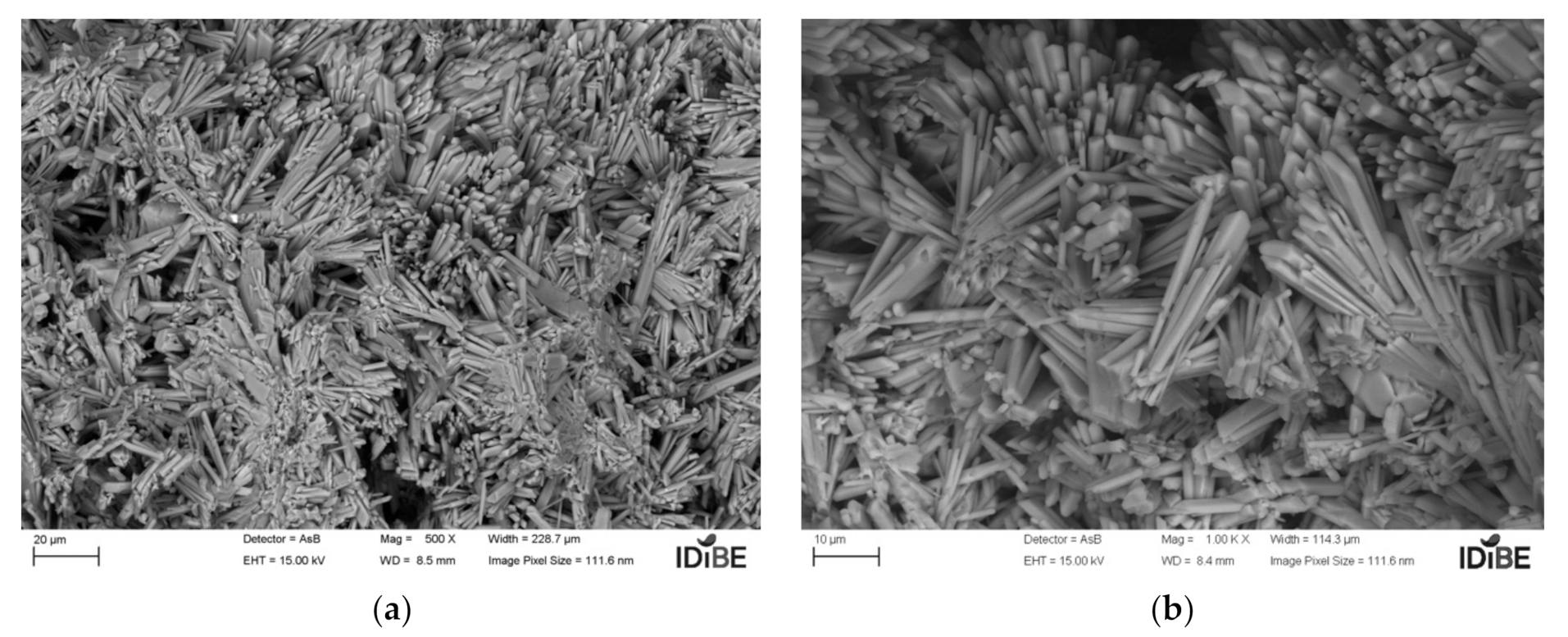 Coatings 11 01204 g006