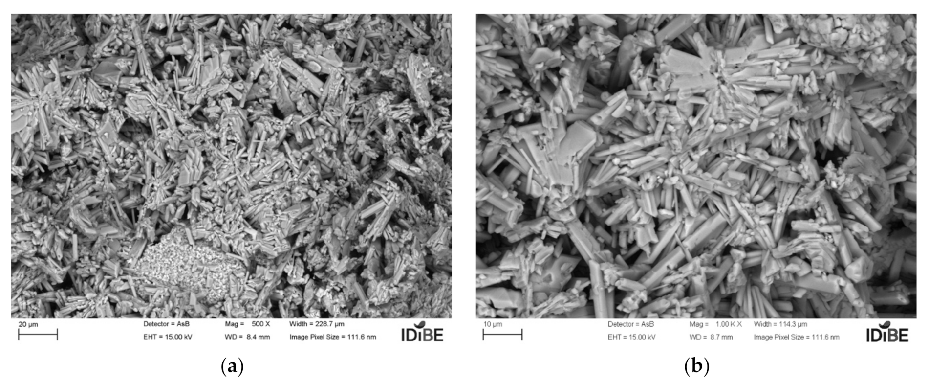 Coatings 11 01204 g007