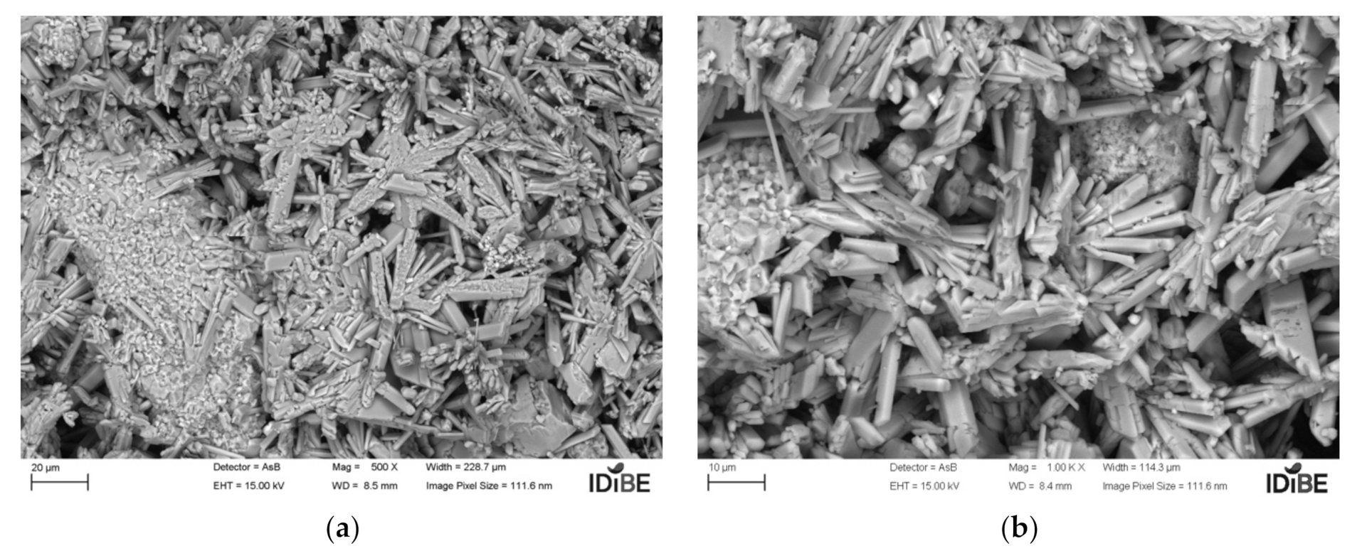Coatings 11 01204 g008