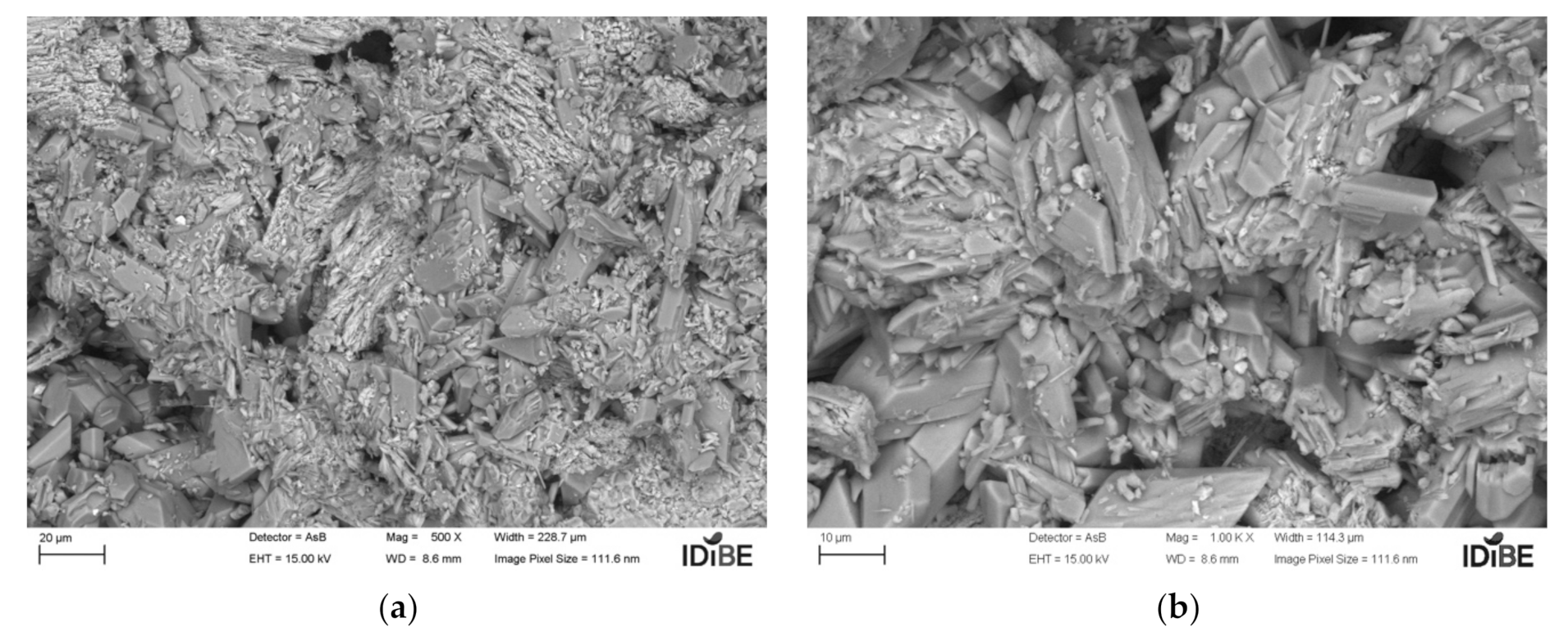 Coatings 11 01204 g010