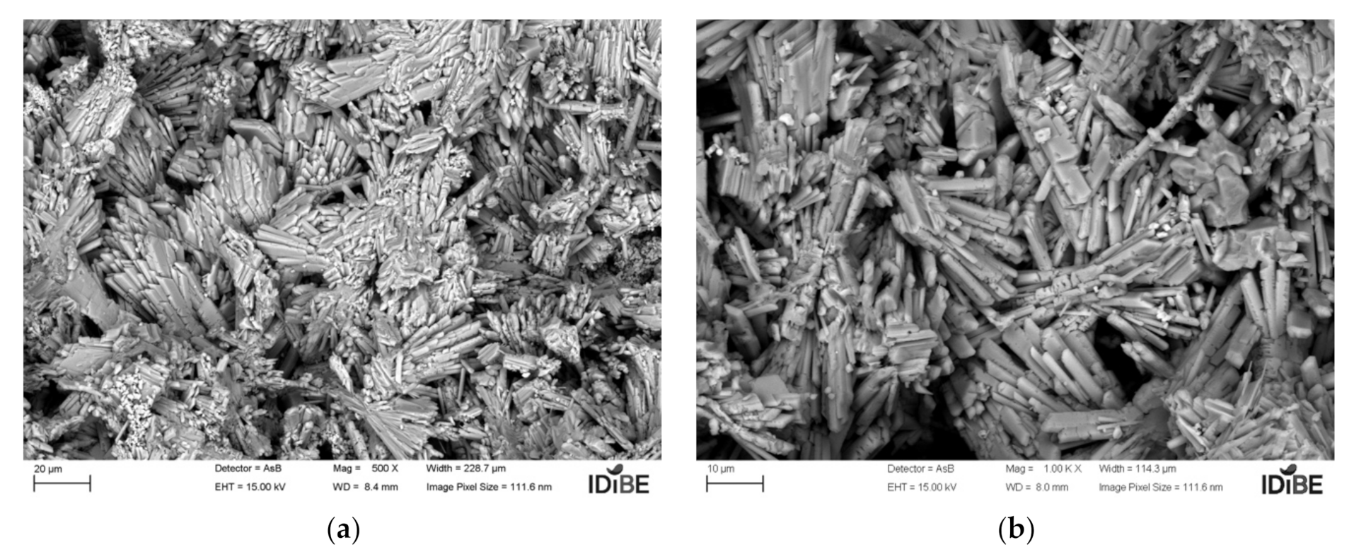Coatings 11 01204 g012