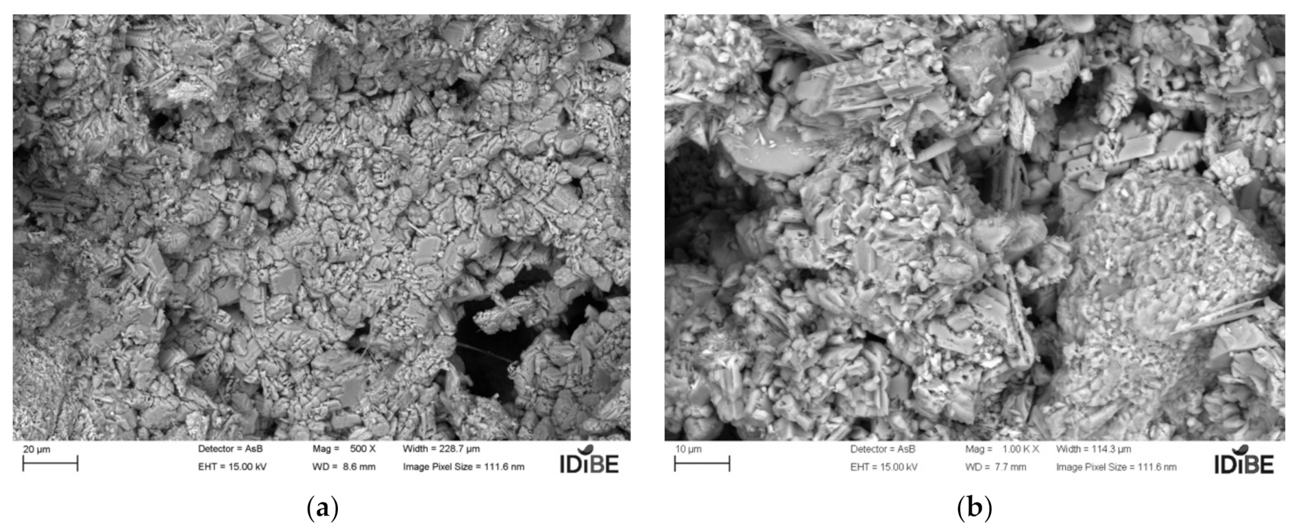 Coatings 11 01204 g014