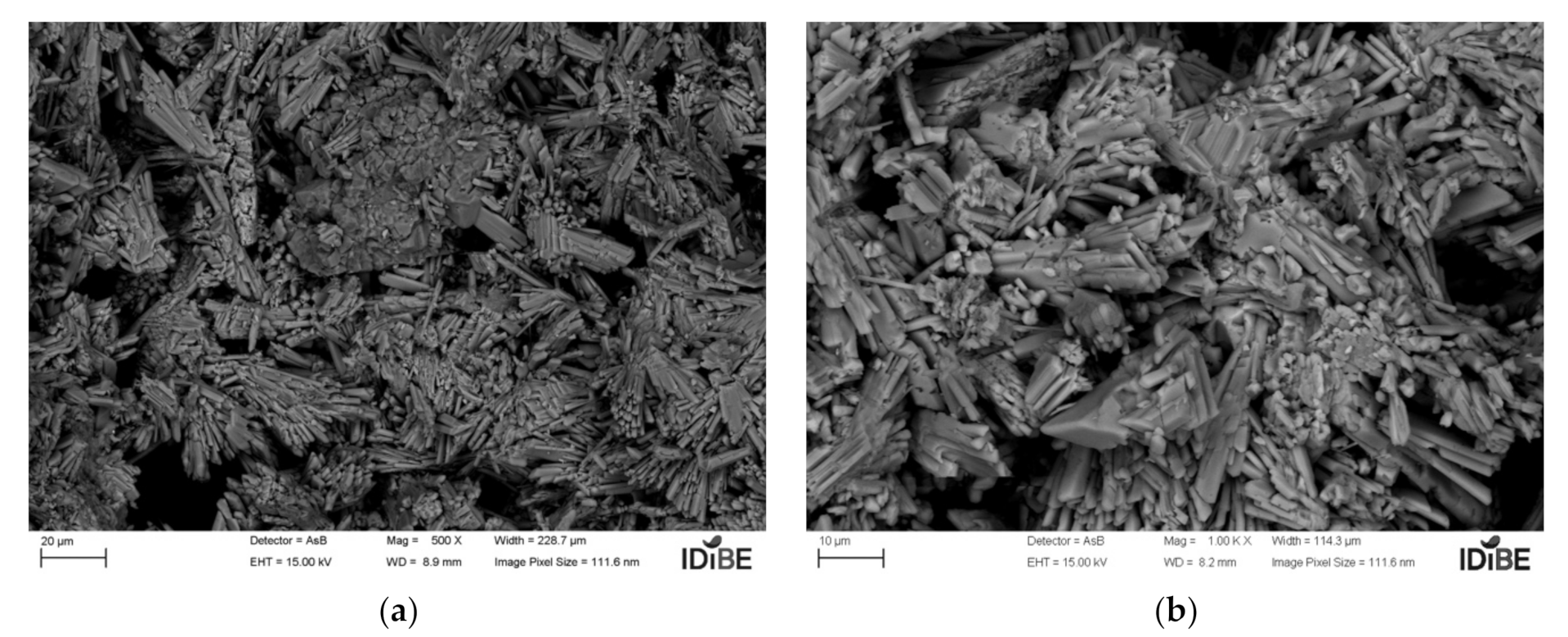 Coatings 11 01204 g015