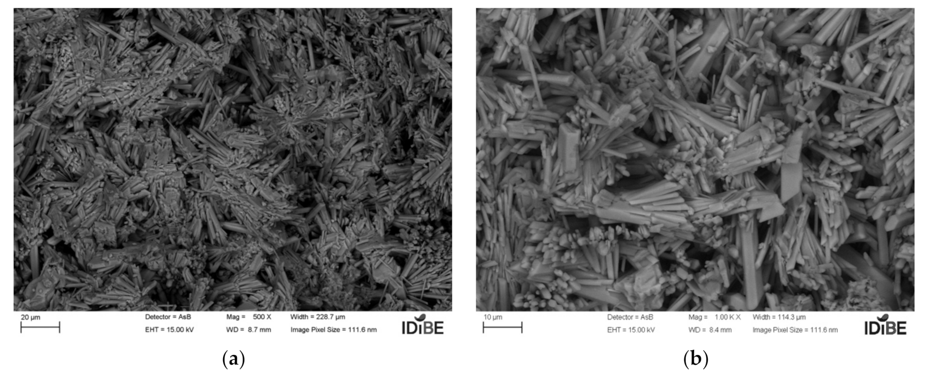 Coatings 11 01204 g016