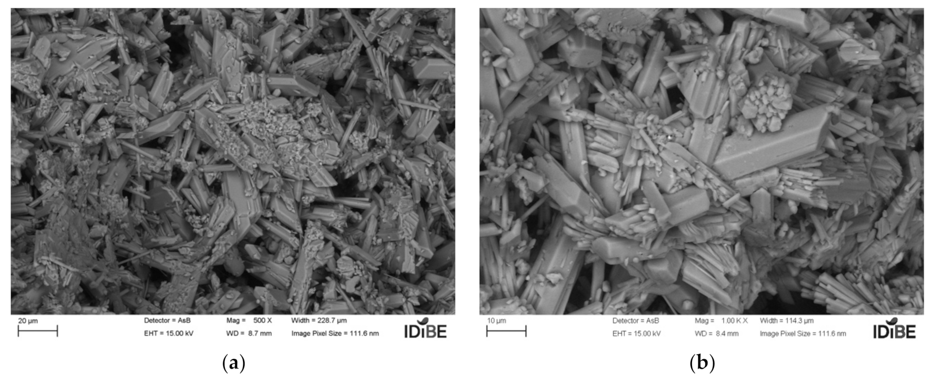 Coatings 11 01204 g017