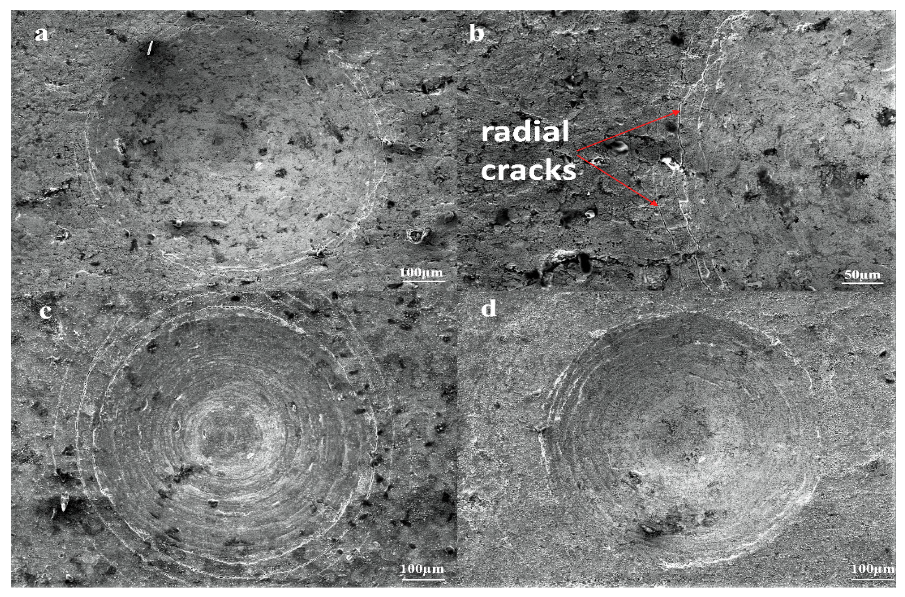 Coatings 11 01207 g009