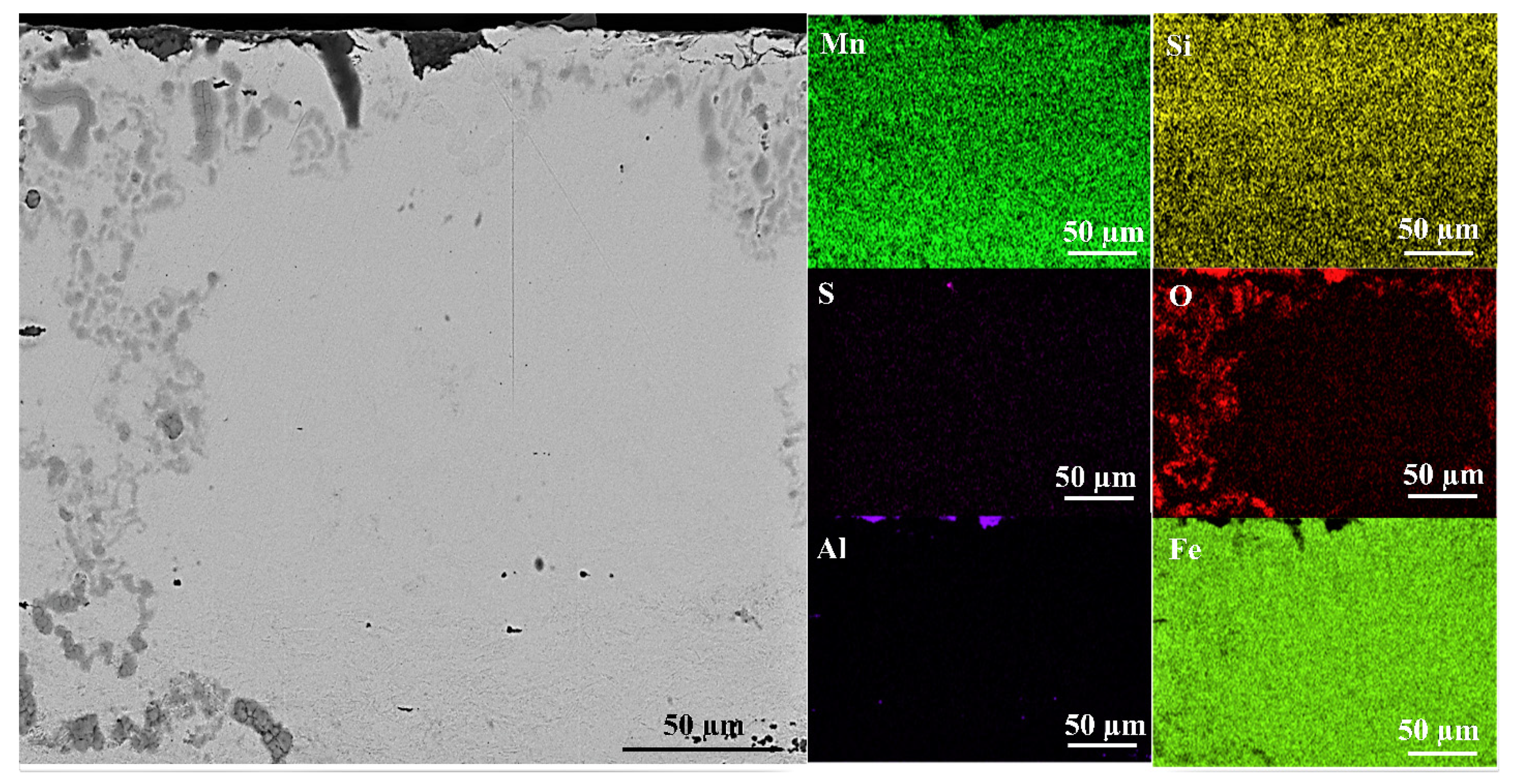 Coatings 11 01207 g014